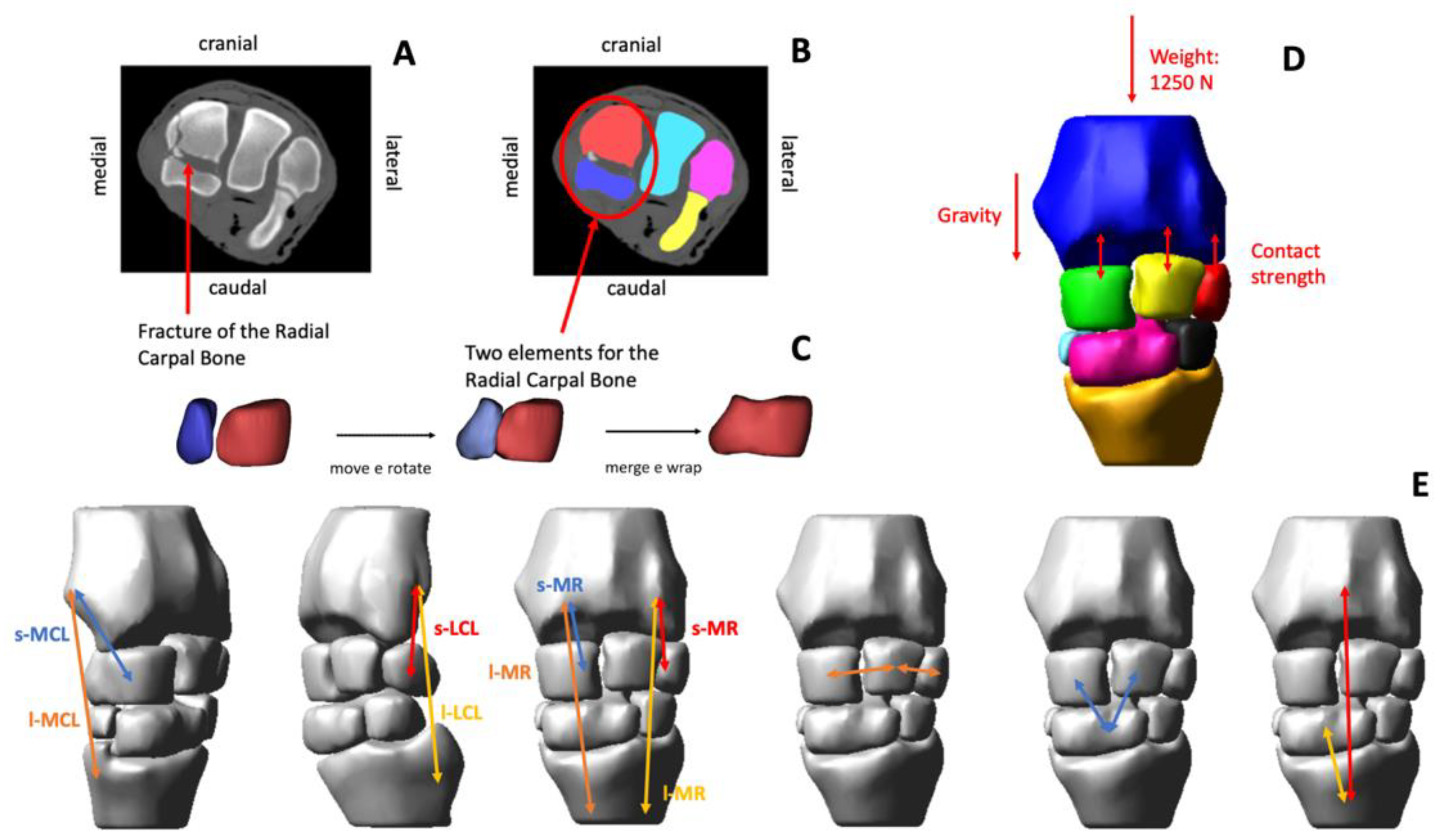 Animals 12 00737 g001