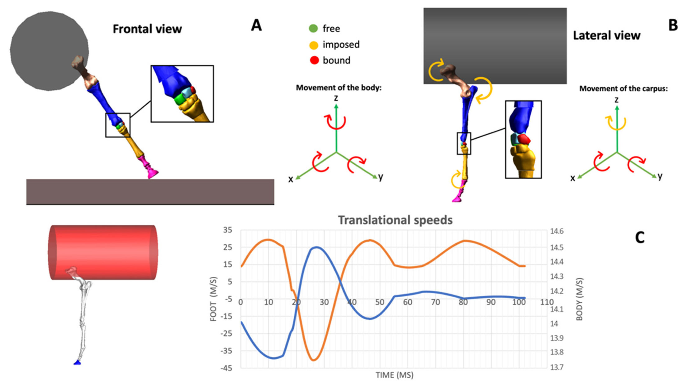 Animals 12 00737 g002