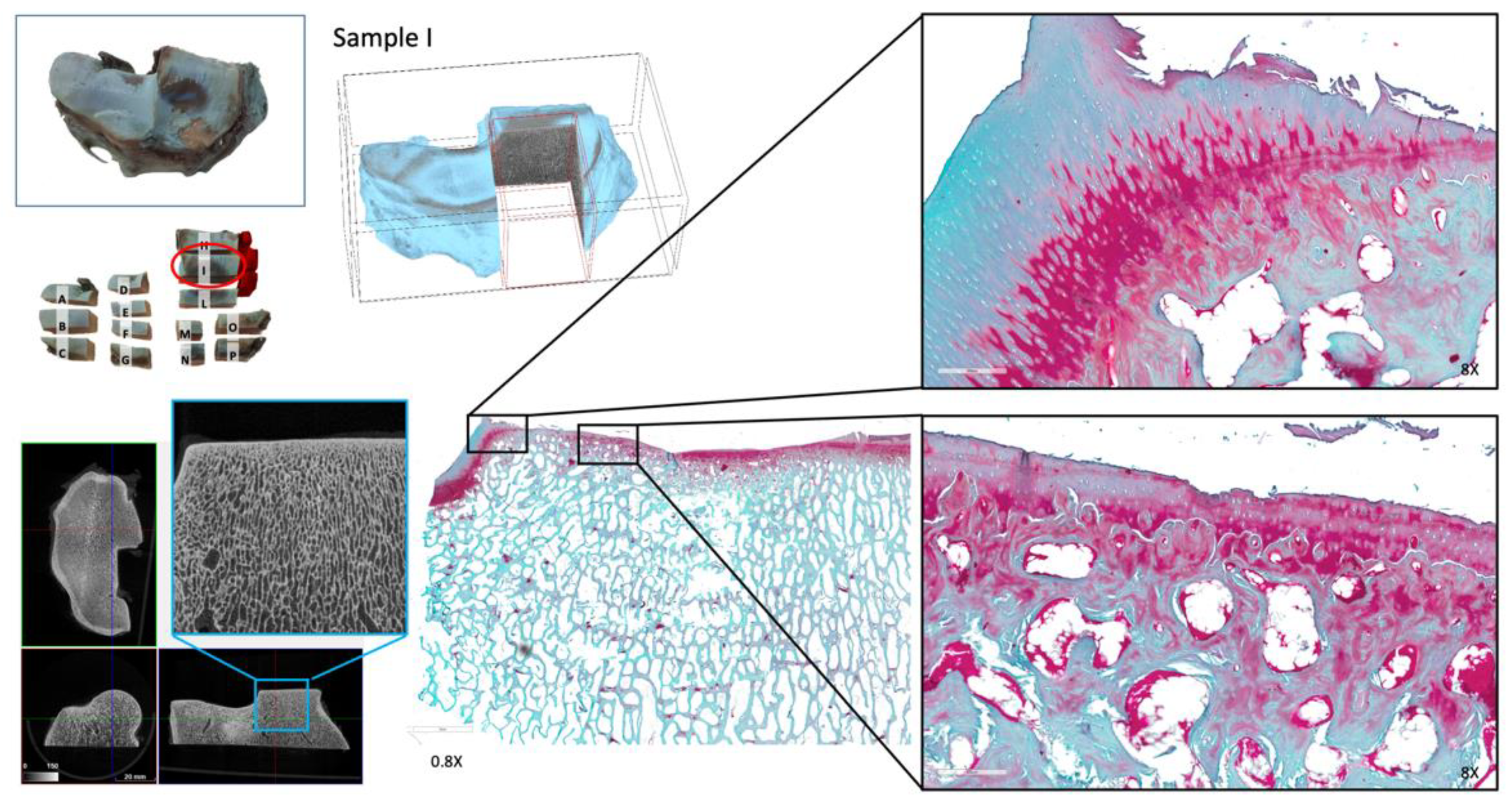 Animals 12 00737 g006