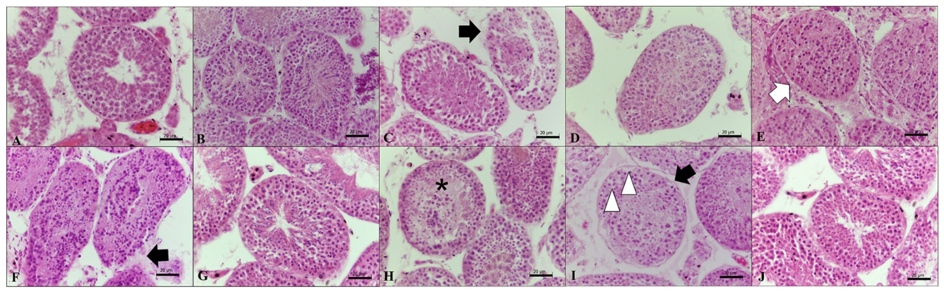 Animals 12 00738 g001 Animals 12 00738 g001