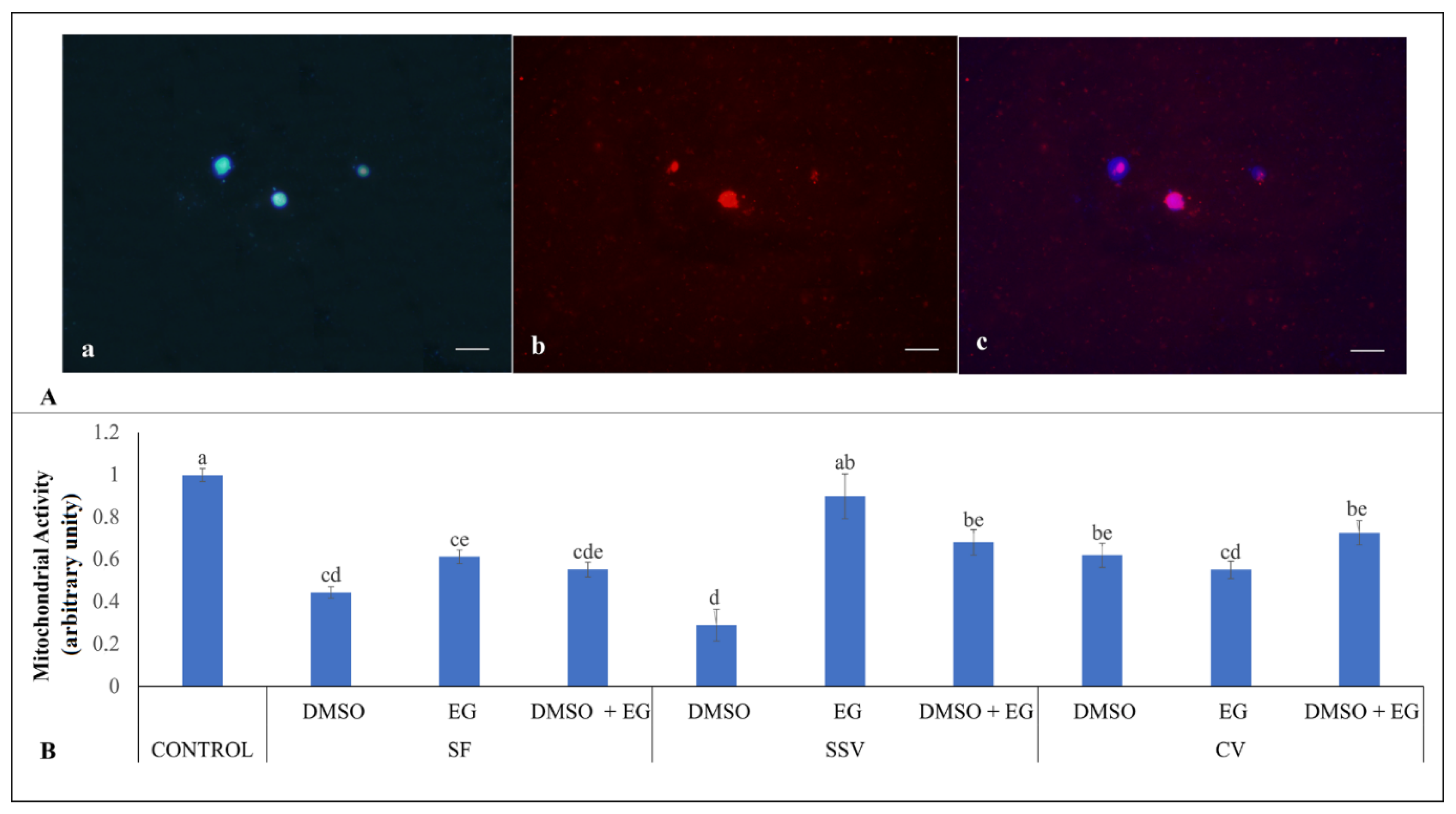 Animals 12 00738 g003 Animals 12 00738 g003