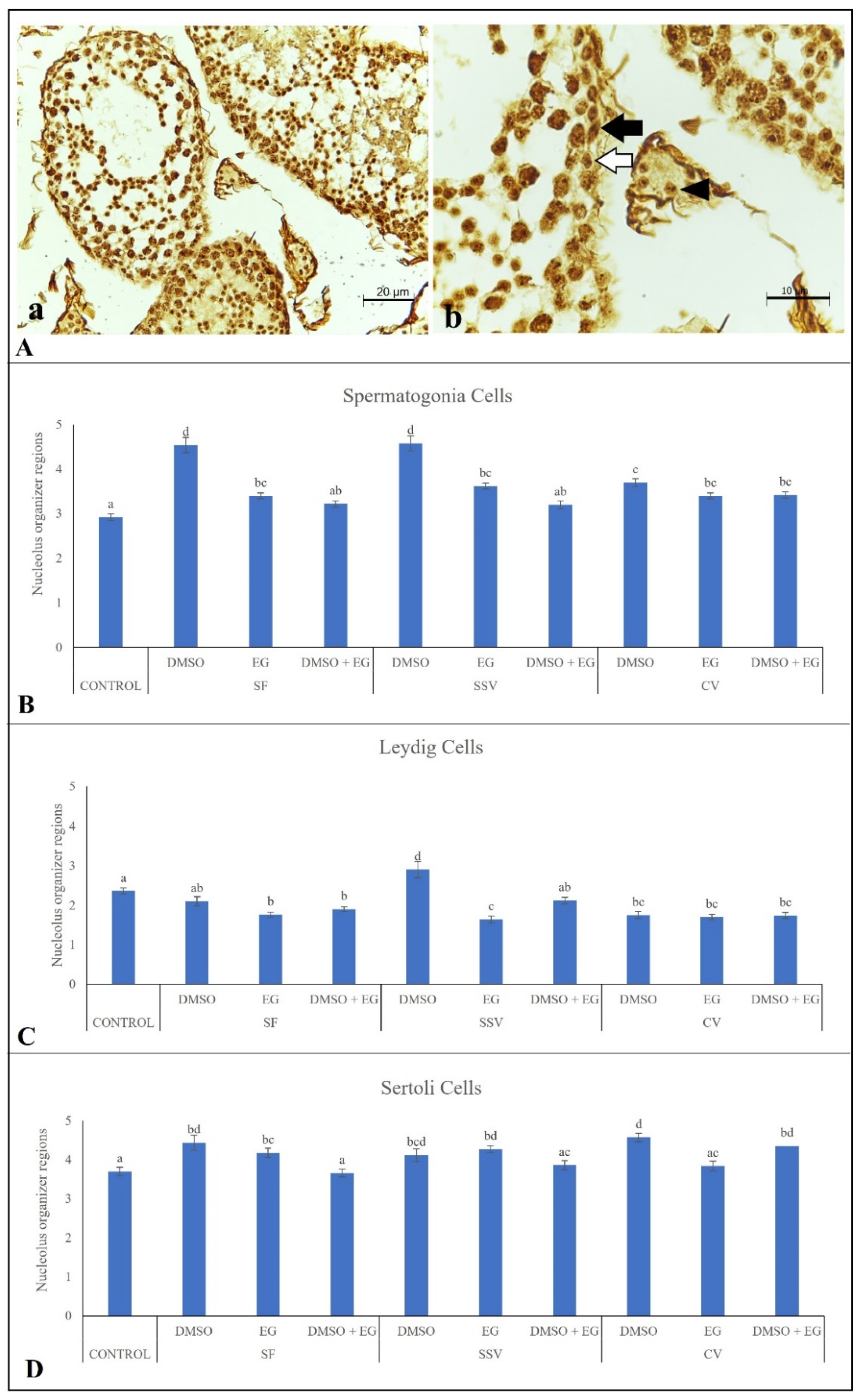 Animals 12 00738 g004 Animals 12 00738 g004