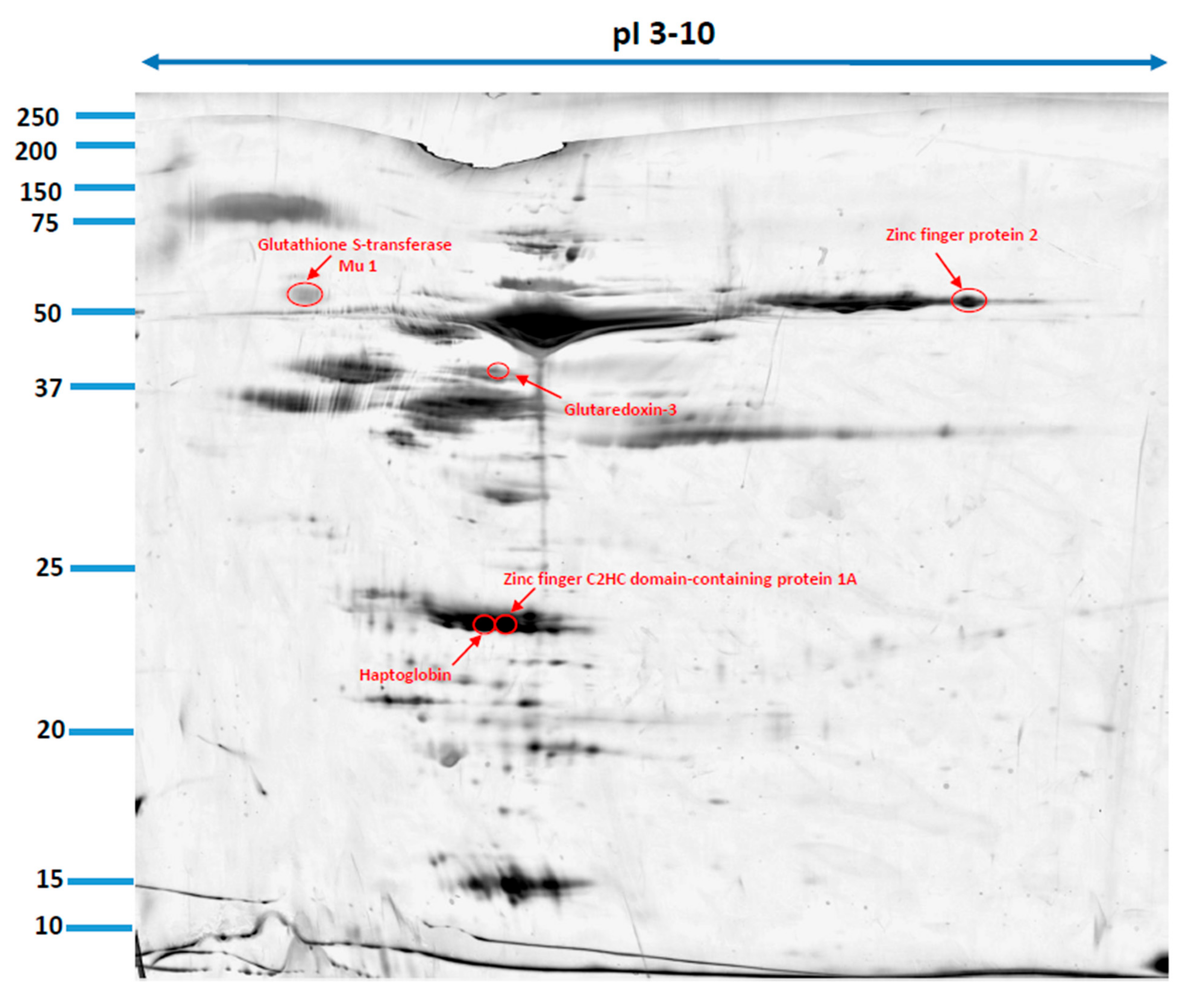 Animals 12 00748 g002