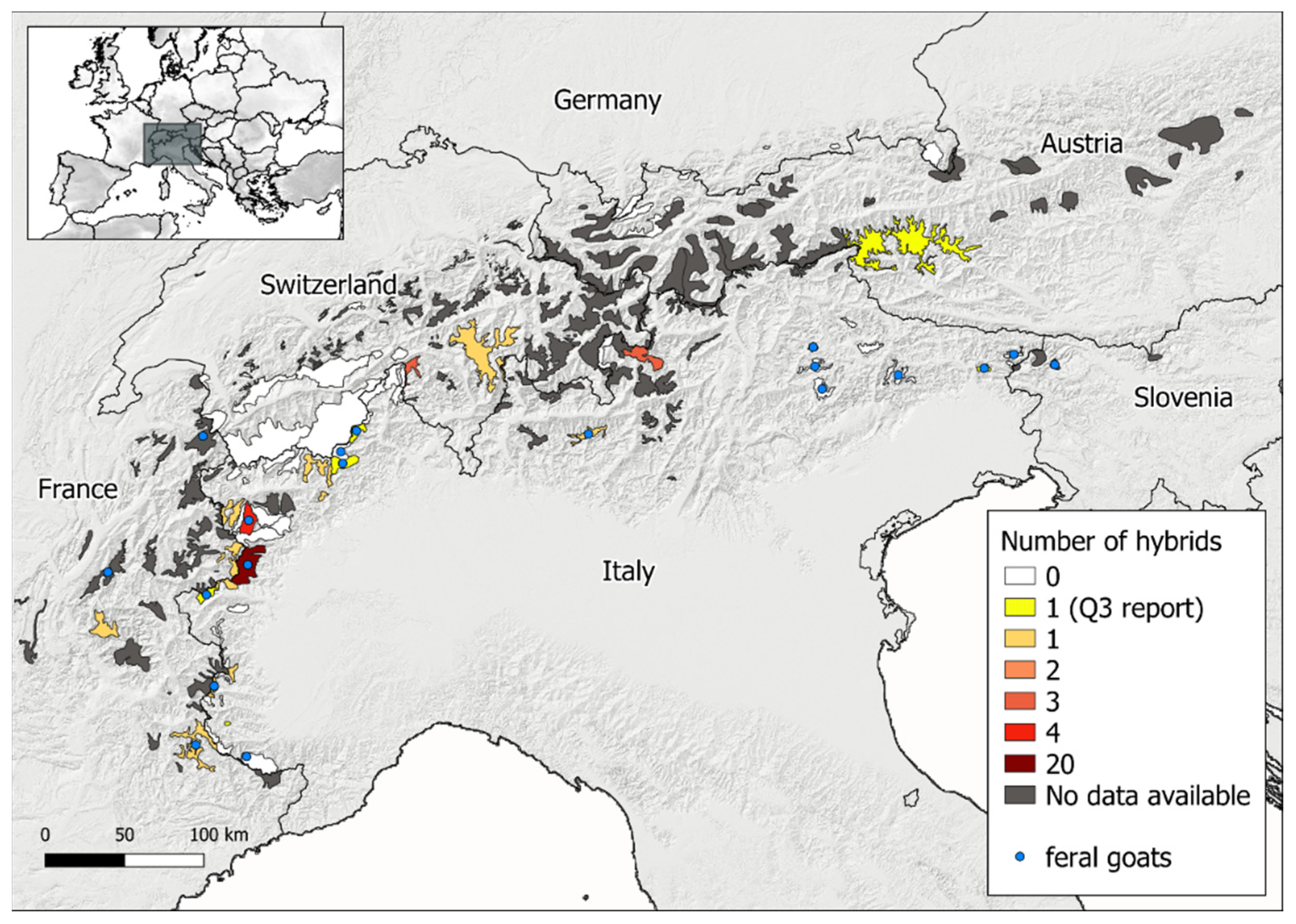 Animals 12 00751 g002