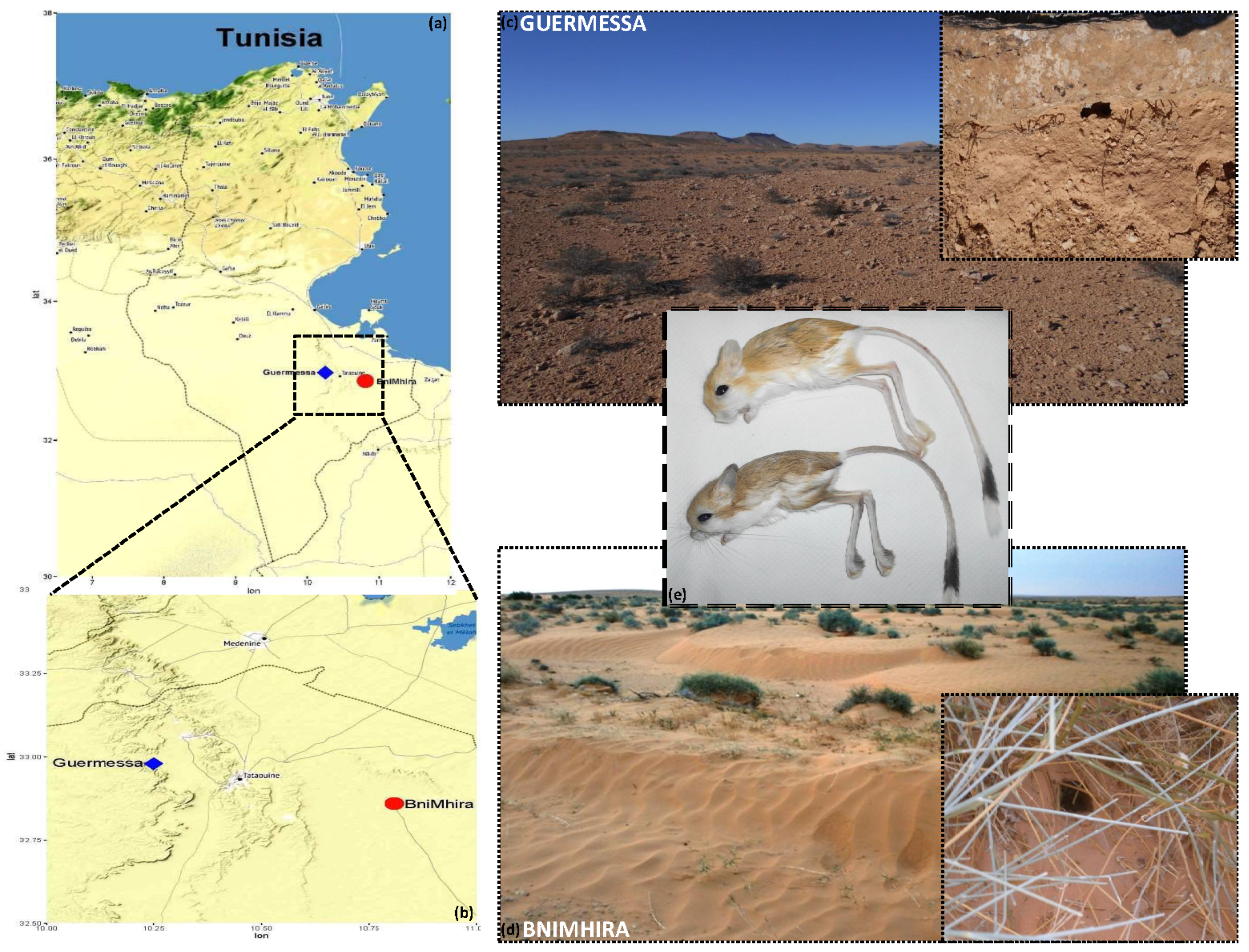 Animals 12 00758 g001