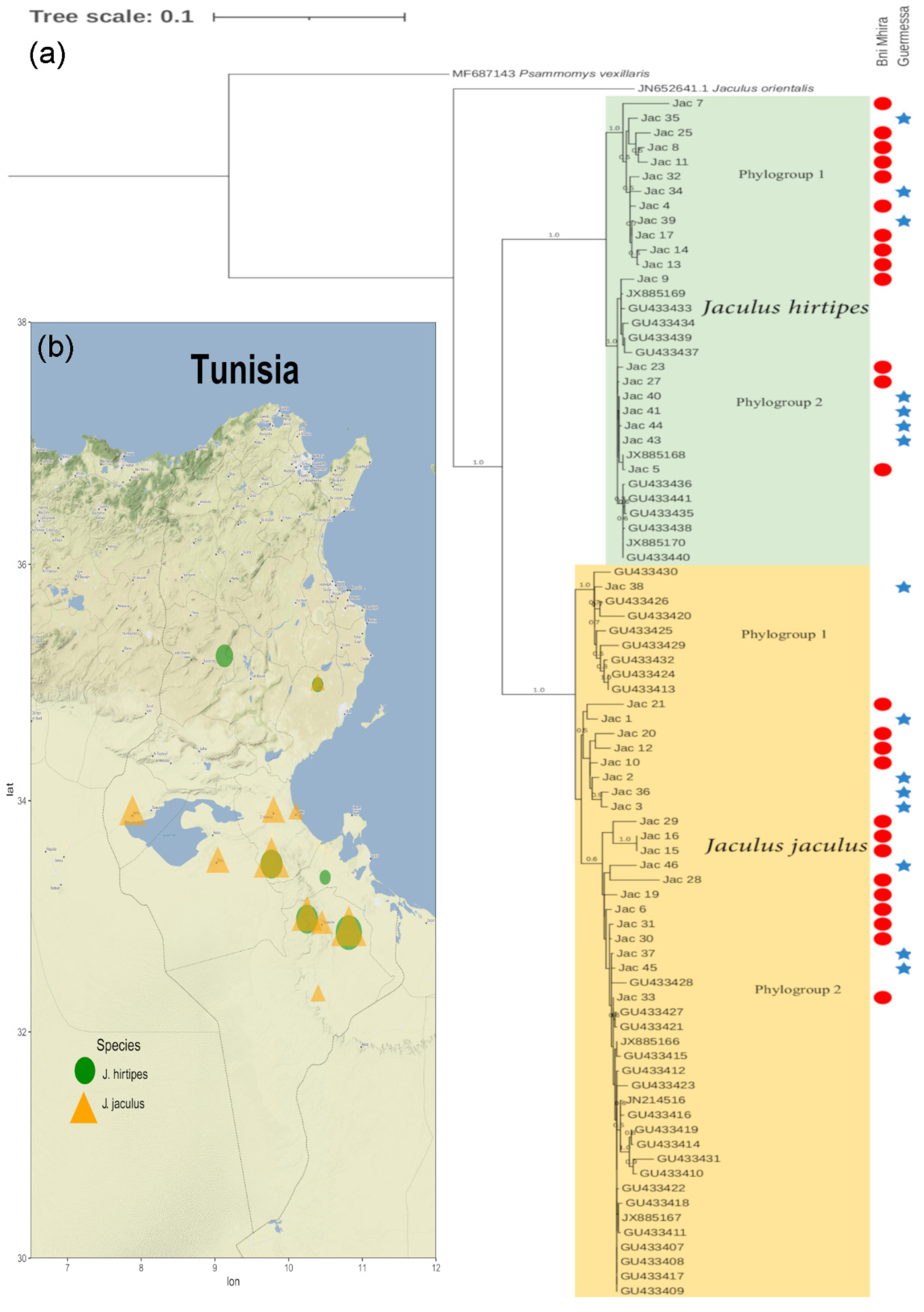 Animals 12 00758 g002