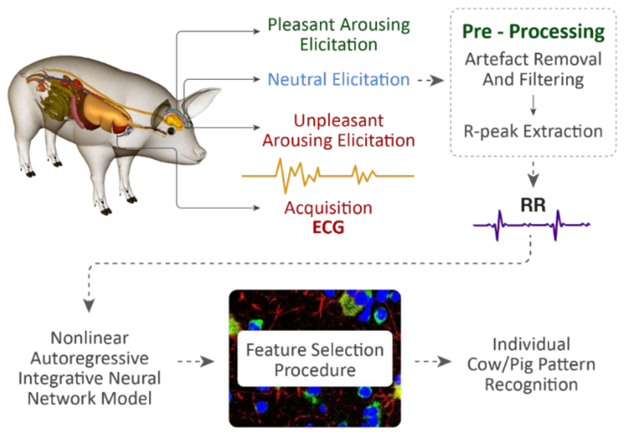 Artificial Intelligence Impact Affective State Recognition in Livestock | Encyclopedia MDPI Artificial Intelligence Impact Affective State Recognition in Livestock | Encyclopedia MDPI