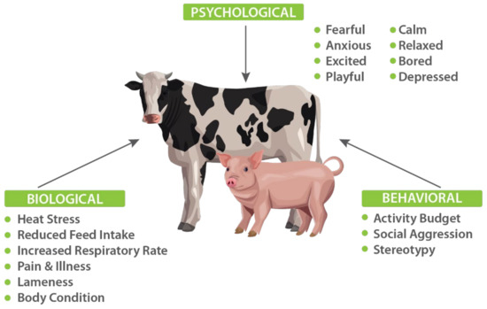 Animals | Free Full-Text | Affective State Recognition in Livestock—Artificial Intelligence Approaches Animals | Free Full-Text | Affective State Recognition in Livestock—Artificial Intelligence Approaches
