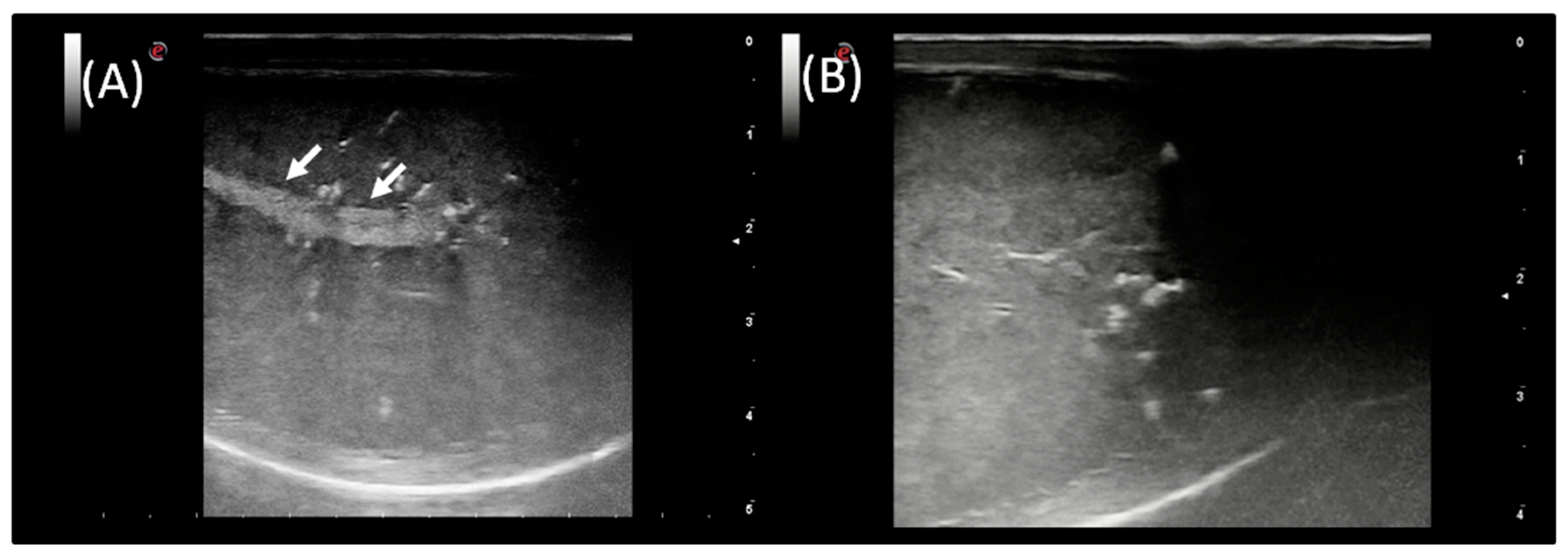 Animals 12 00760 g003 Animals 12 00760 g003