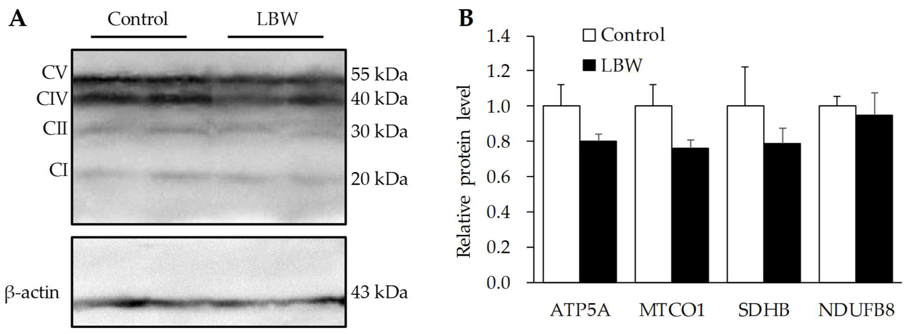Animals 12 00766 g009