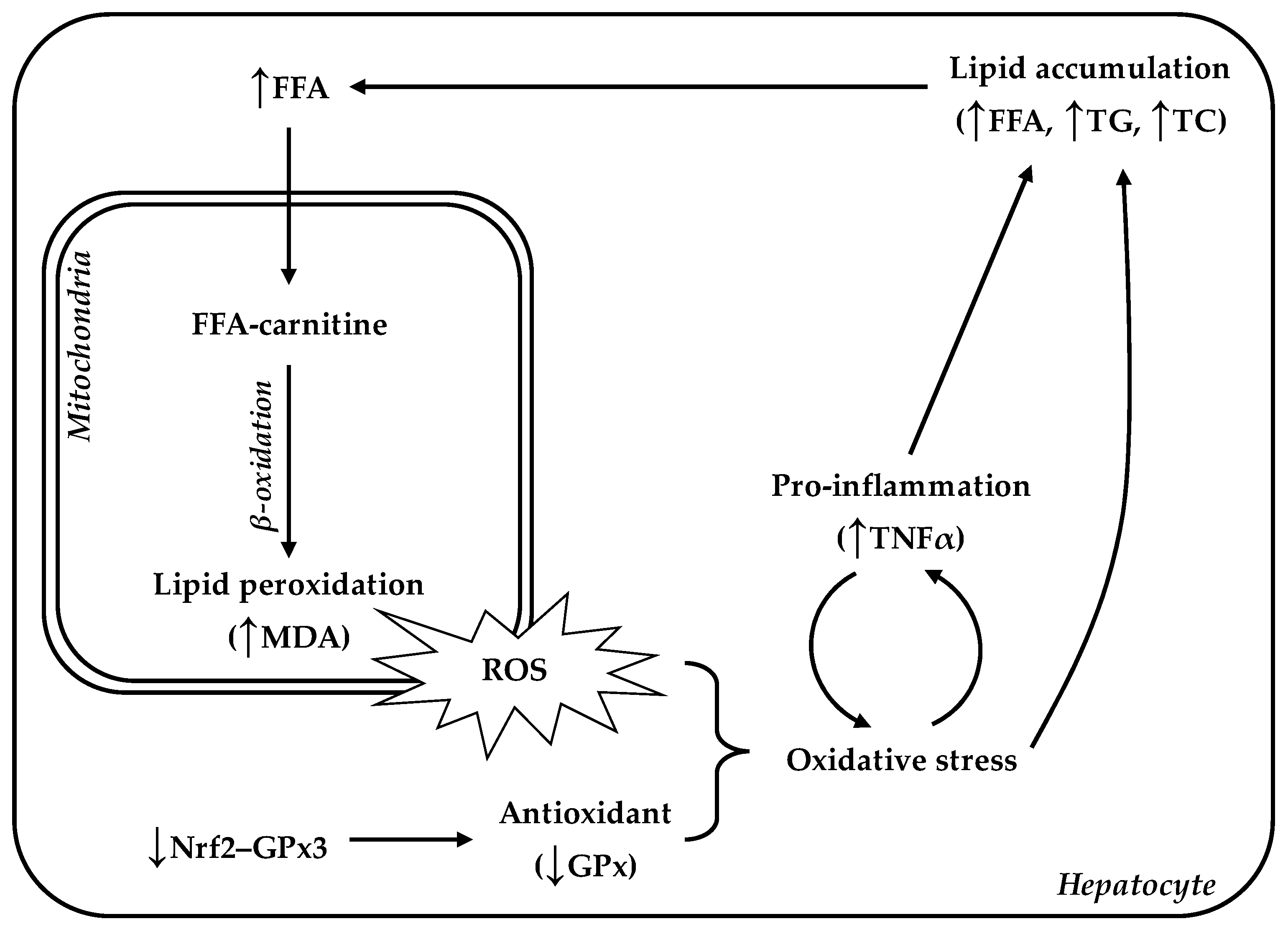 Animals 12 00766 g010