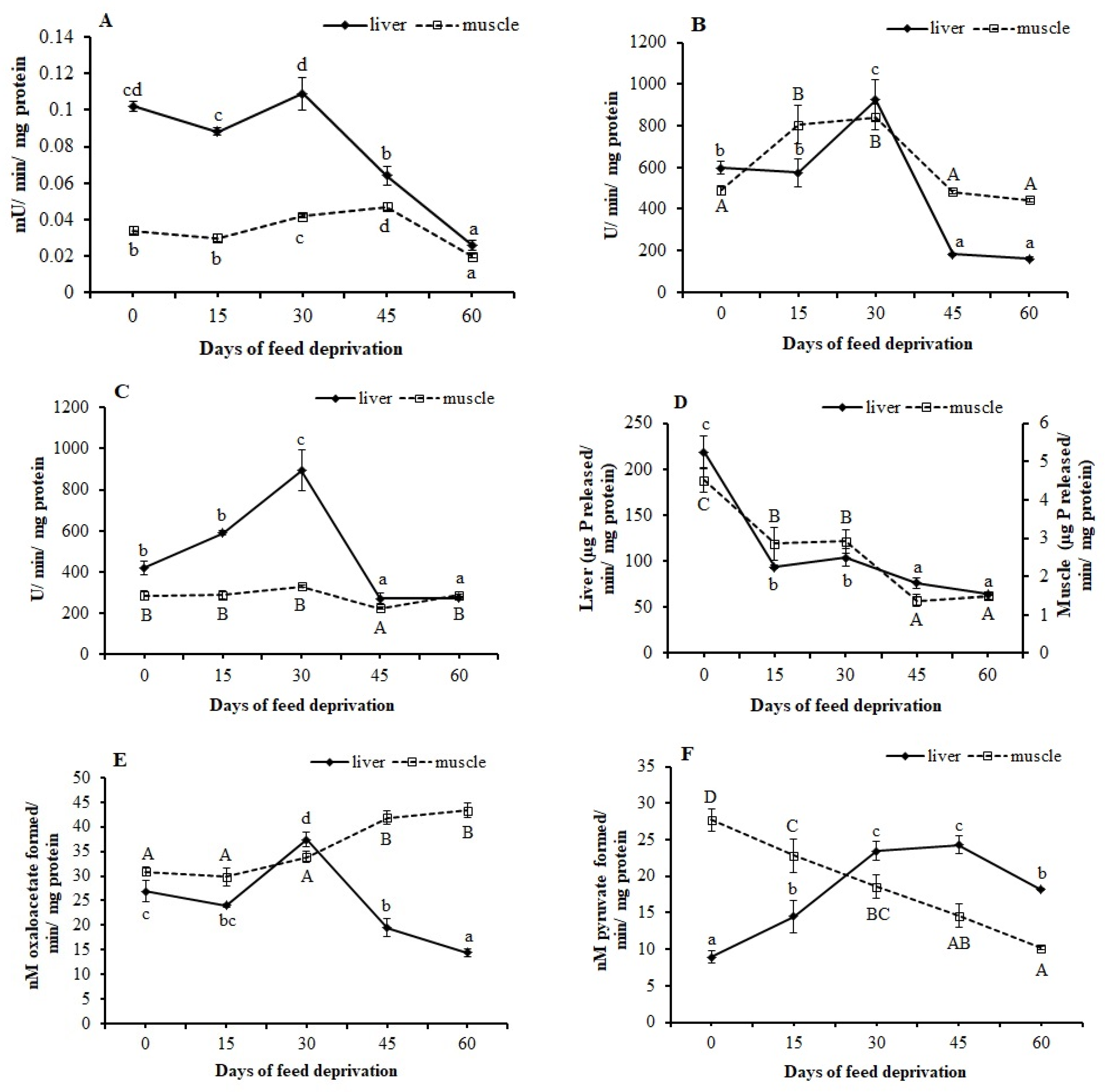 Animals 12 00769 g004