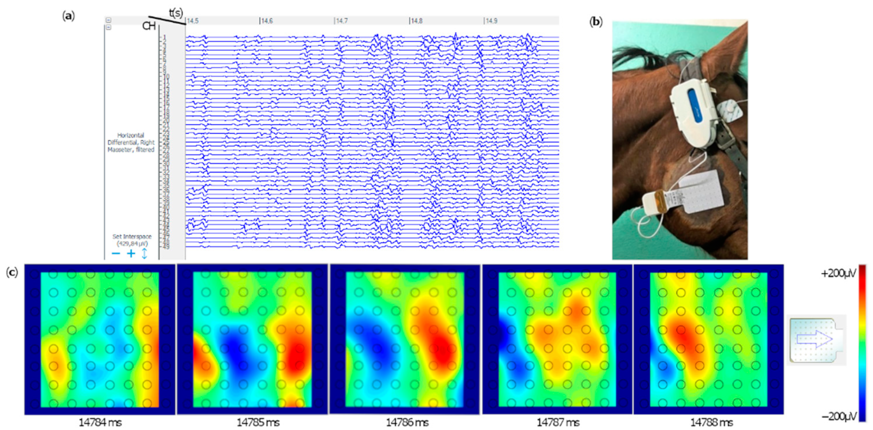 Animals 12 00785 g002 550