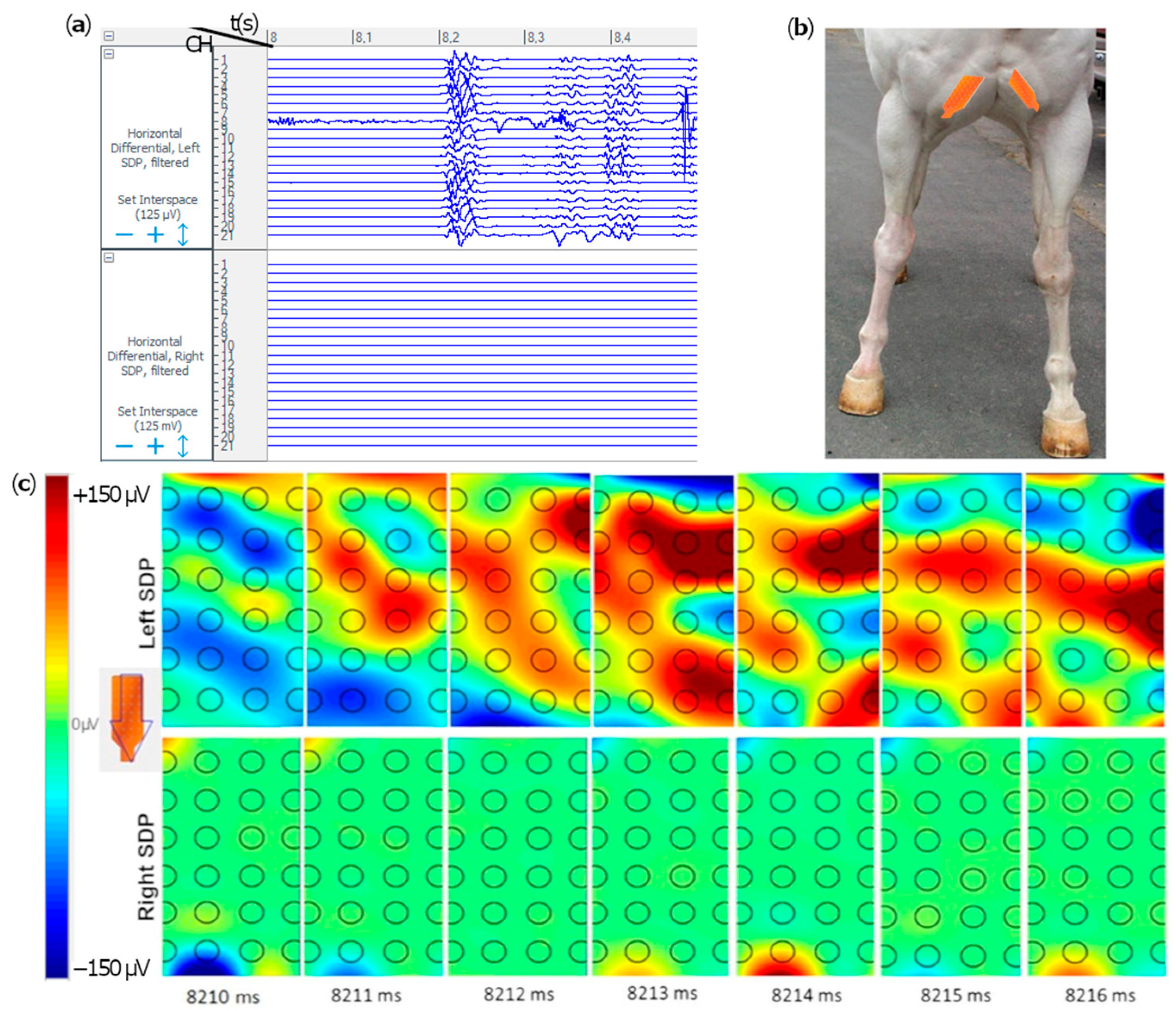 Animals 12 00785 g003 550