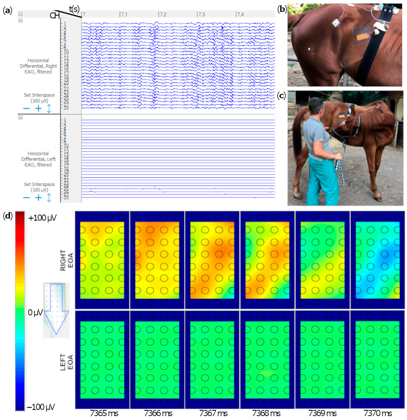 Animals 12 00785 g004 550