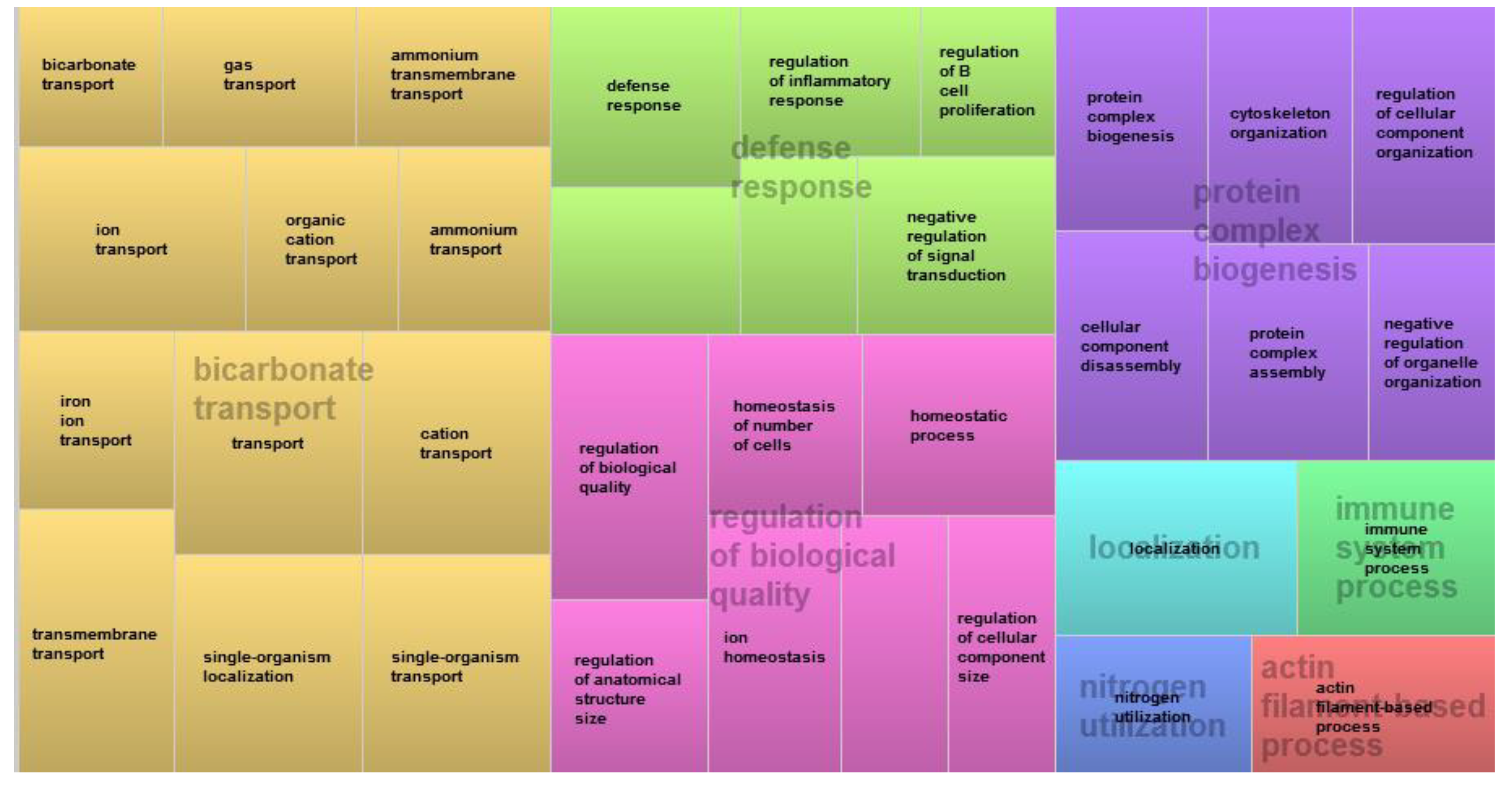 Comprehensive Analyses of Bone and Cartilage Transcriptomes