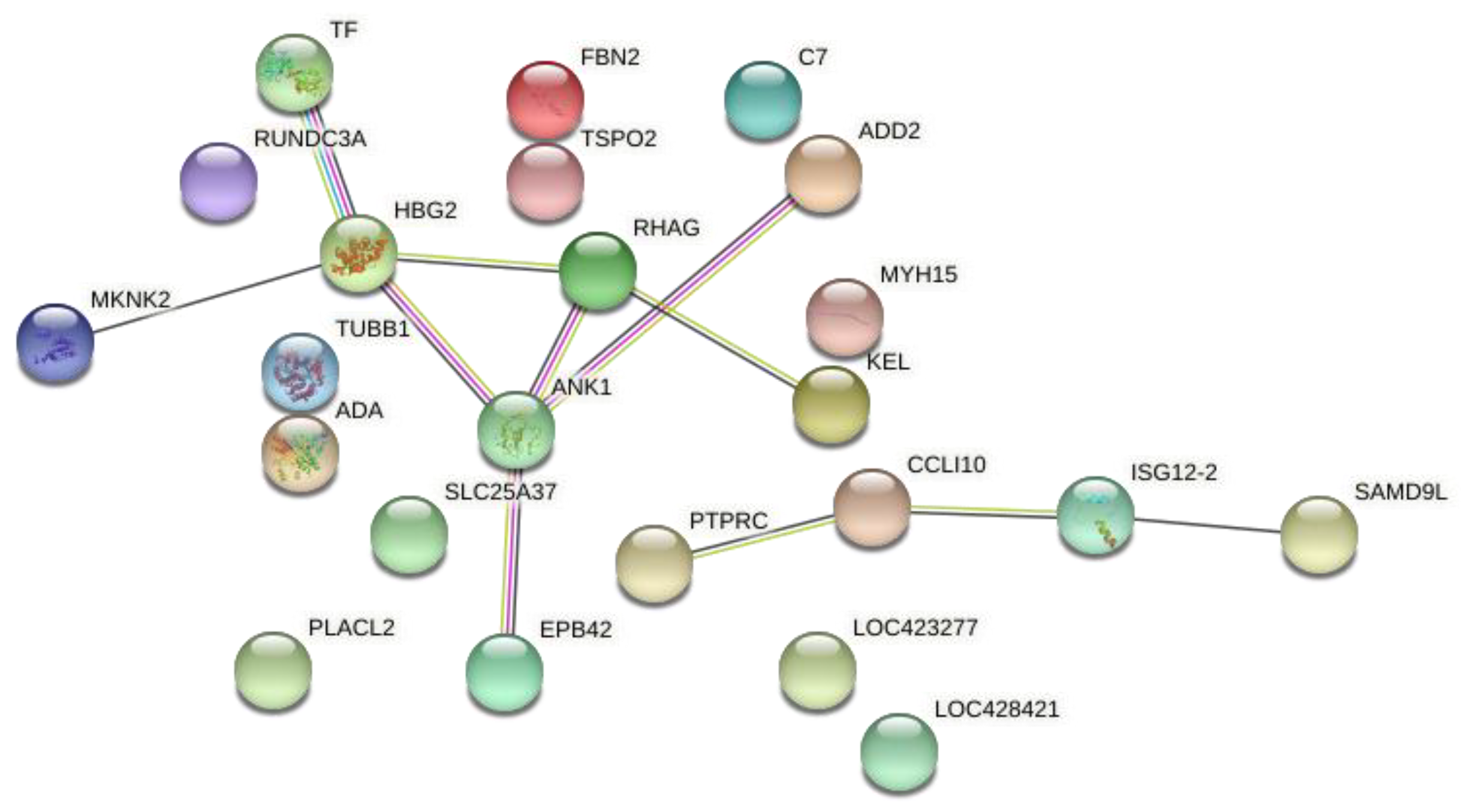 Animals 12 00788 g002 Animals 12 00788 g002