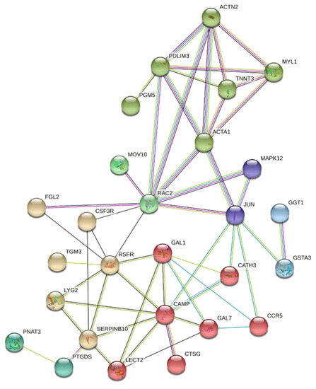 Comprehensive Analyses of Bone and Cartilage Transcriptomes