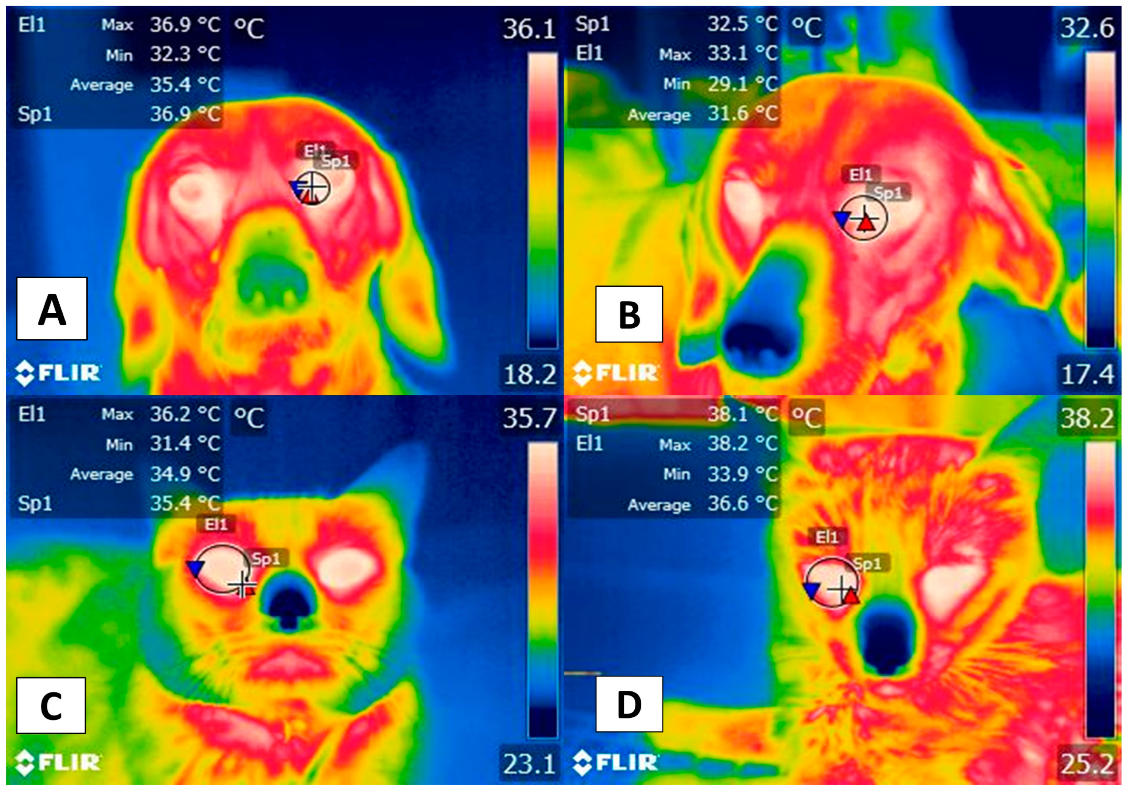 Animals 12 00789 g003