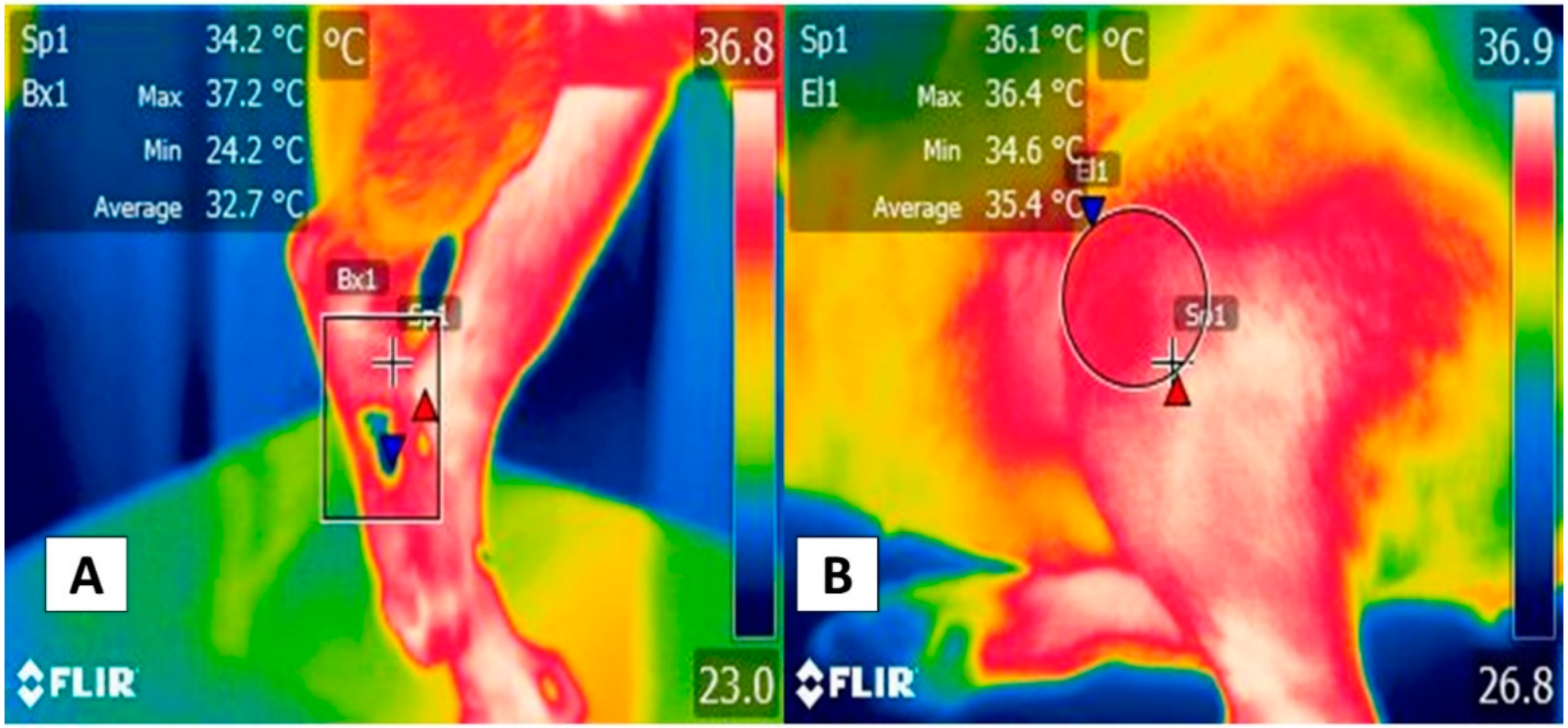 Animals 12 00789 g004