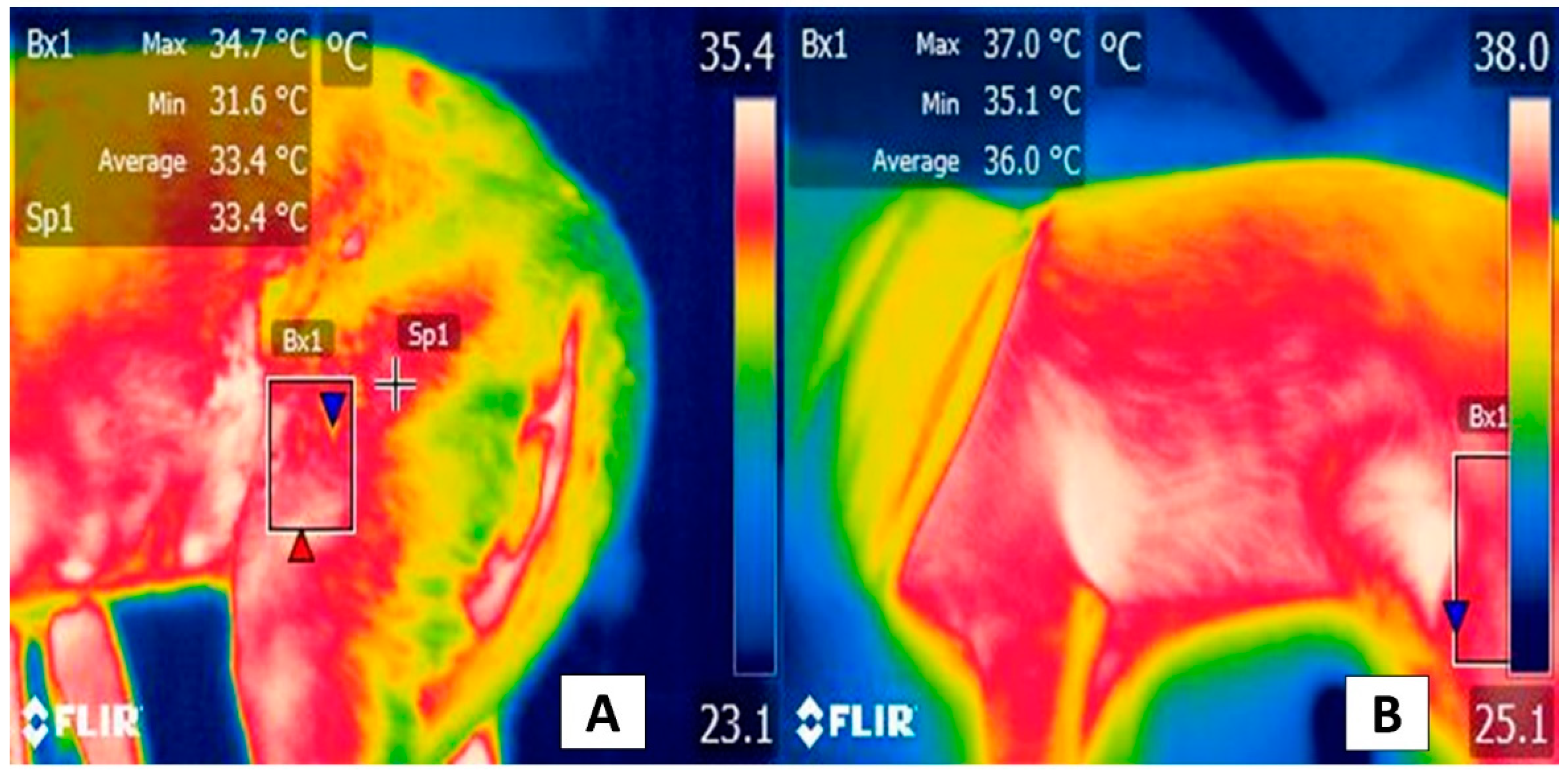 Animals 12 00789 g006