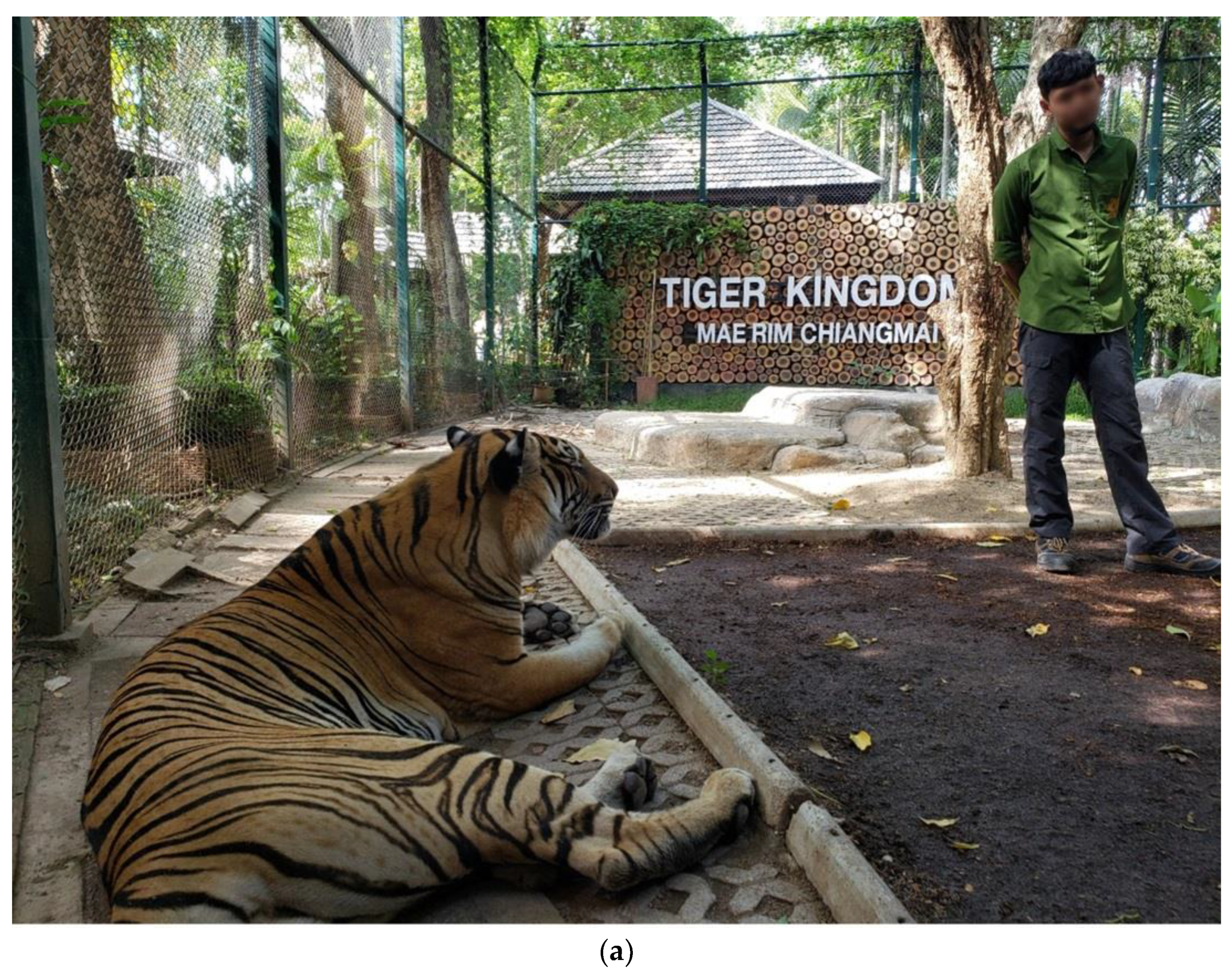 Animals 12 00790 g002a Animals 12 00790 g002a