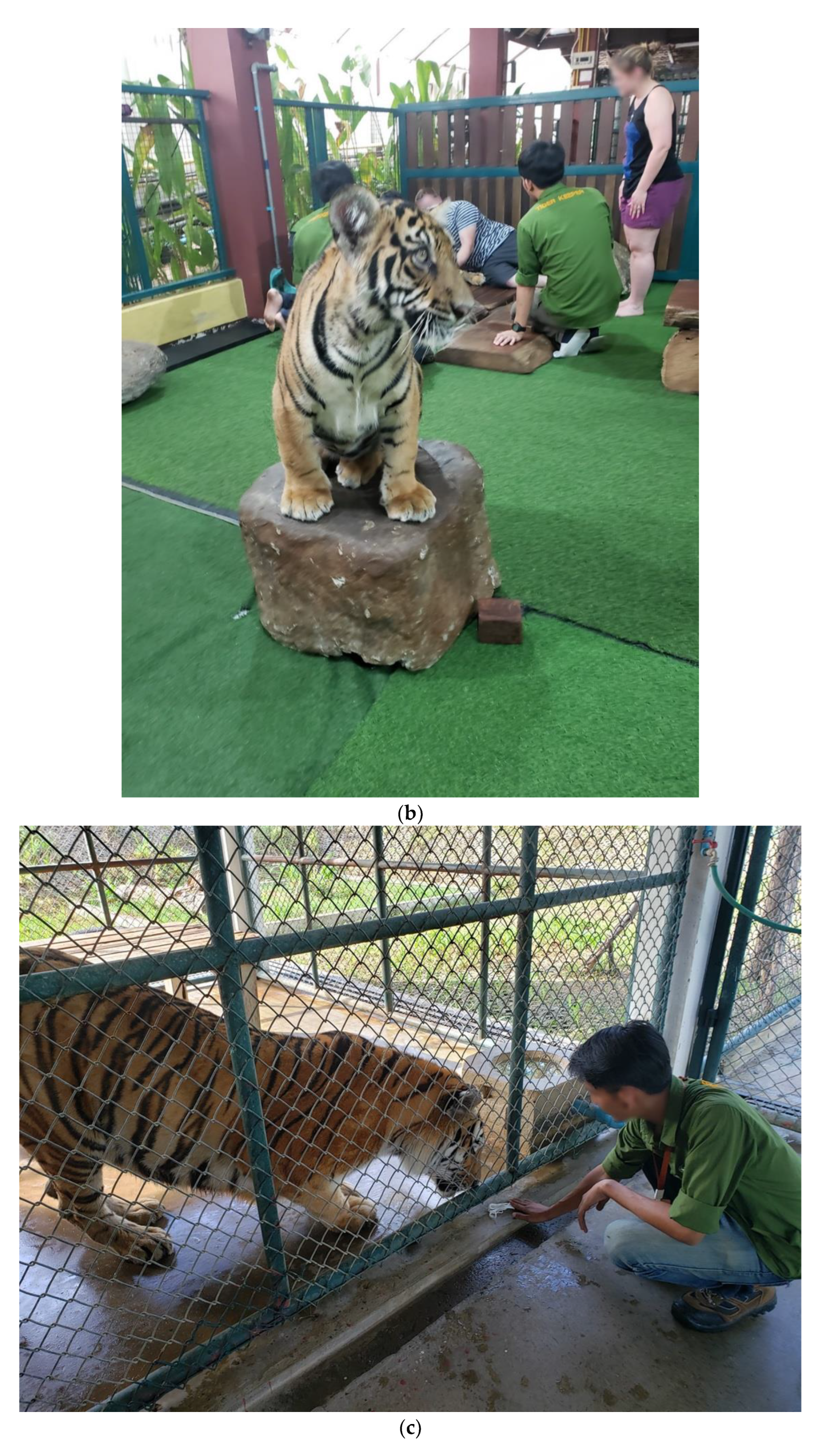 Animals 12 00790 g002b Animals 12 00790 g002b