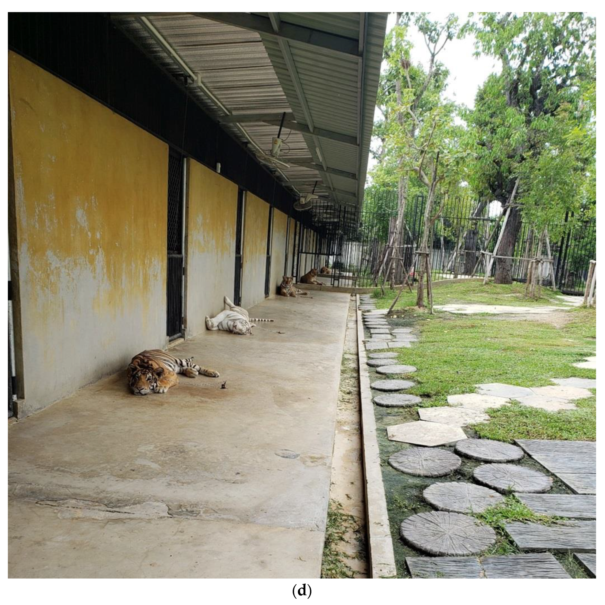 Animals 12 00790 g002c Animals 12 00790 g002c