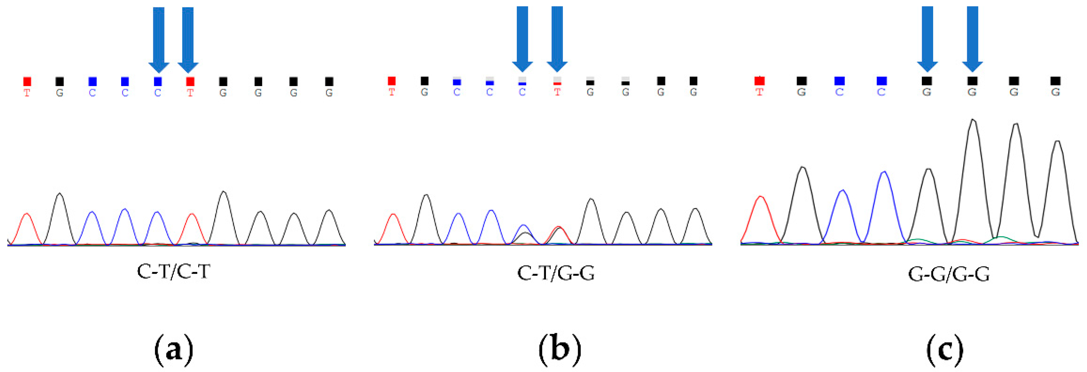 Animals 12 00792 g001 550