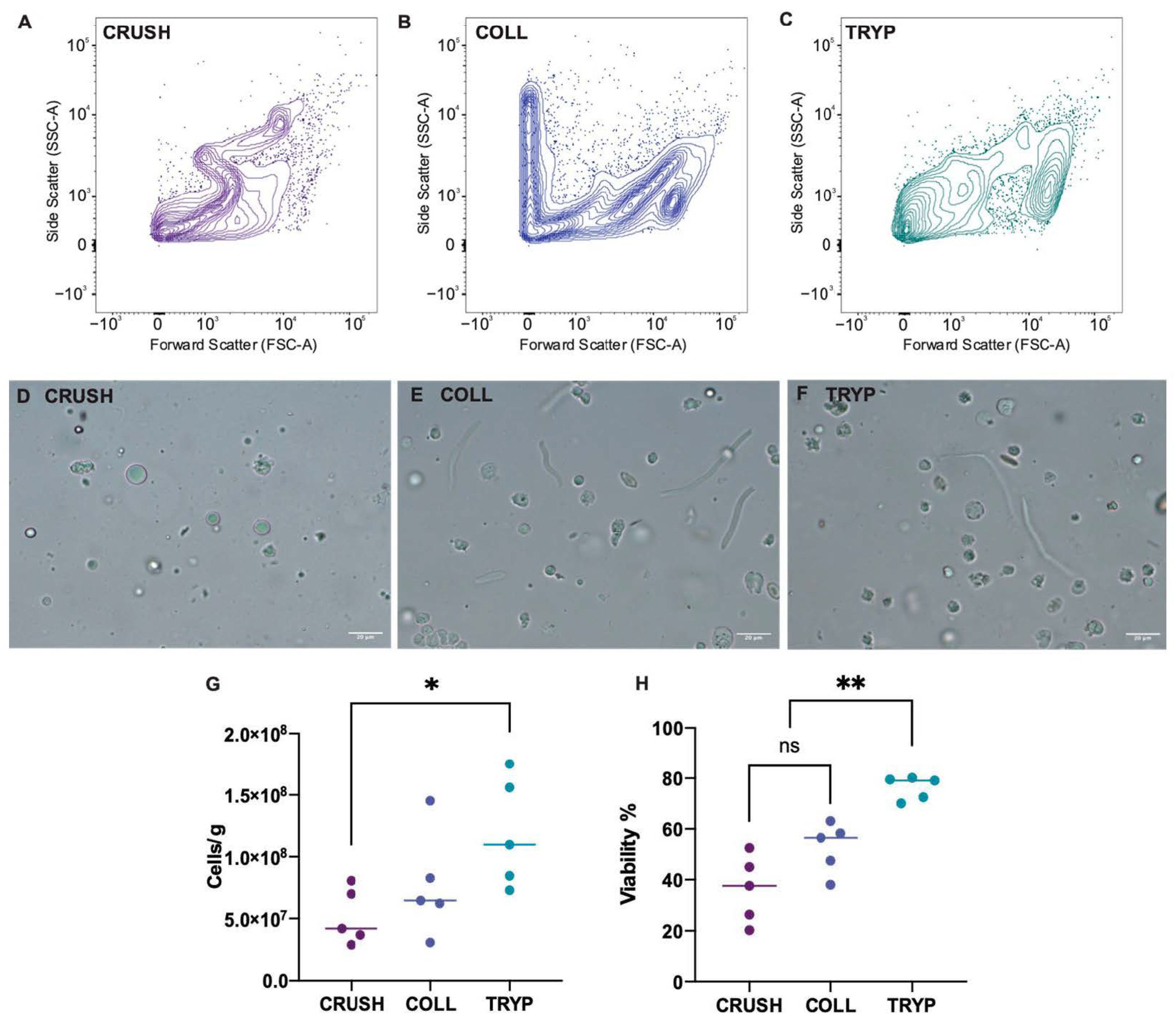 Animals 12 00794 g002 550