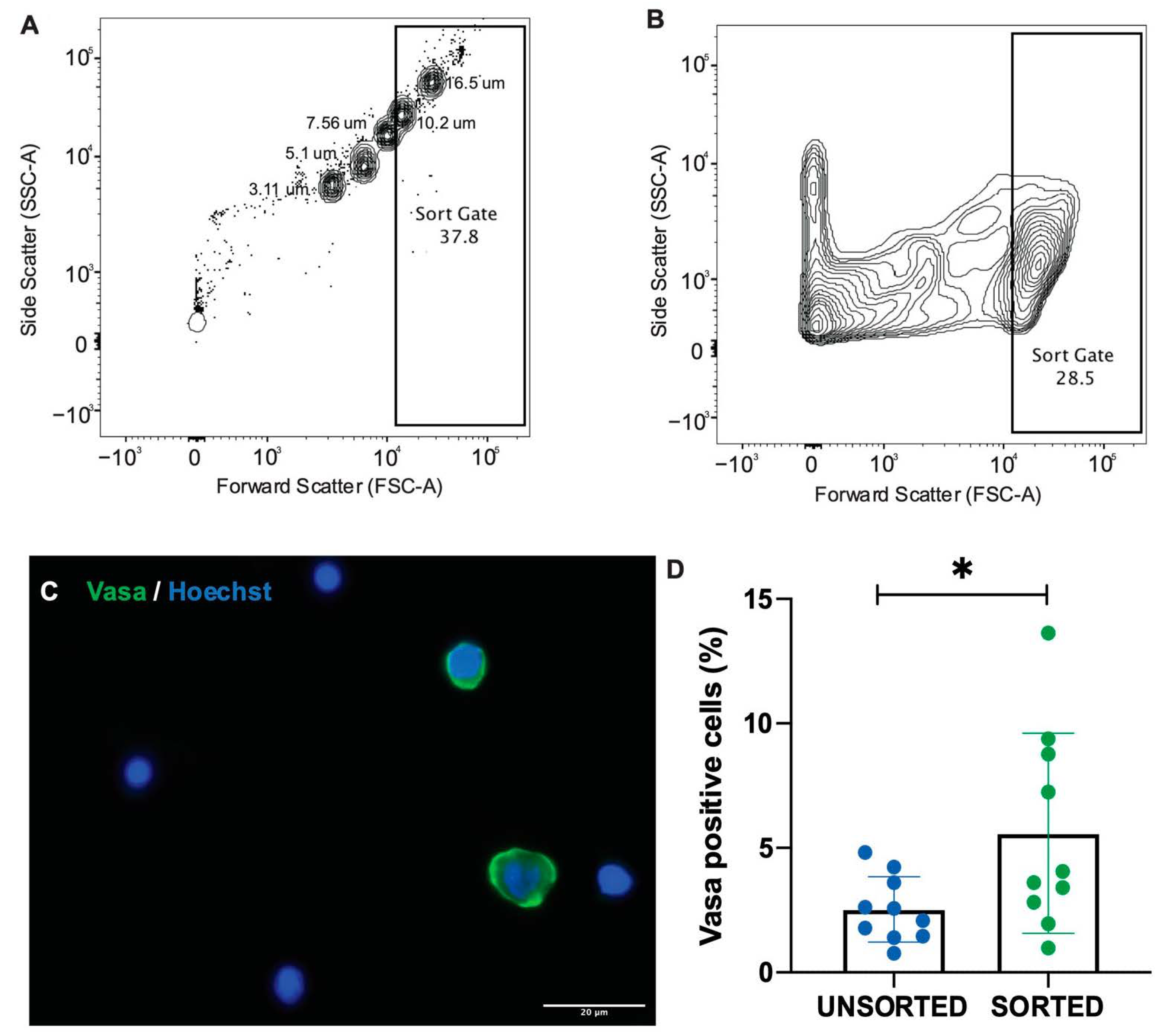 Animals 12 00794 g003 550
