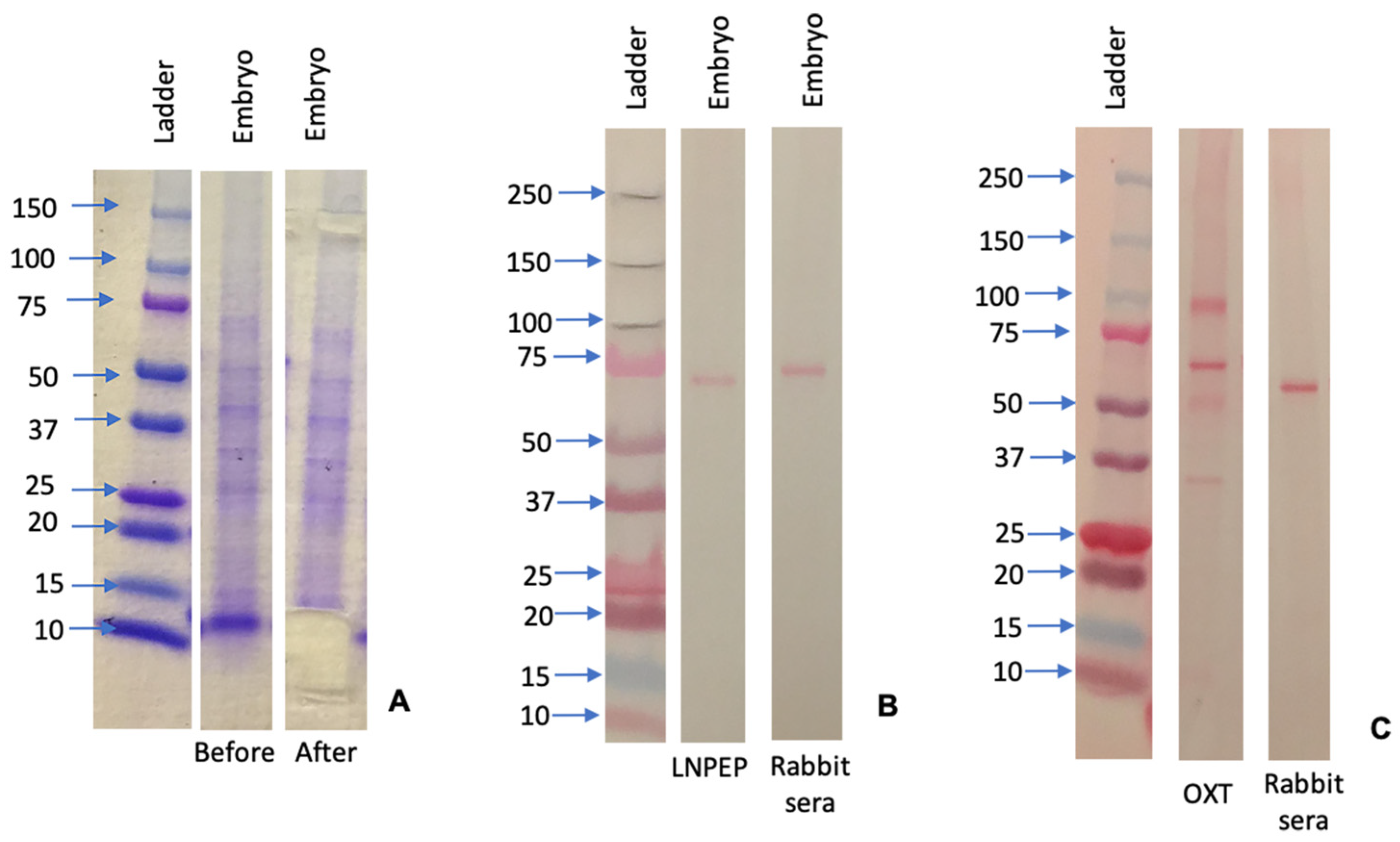 Animals 12 00799 g006