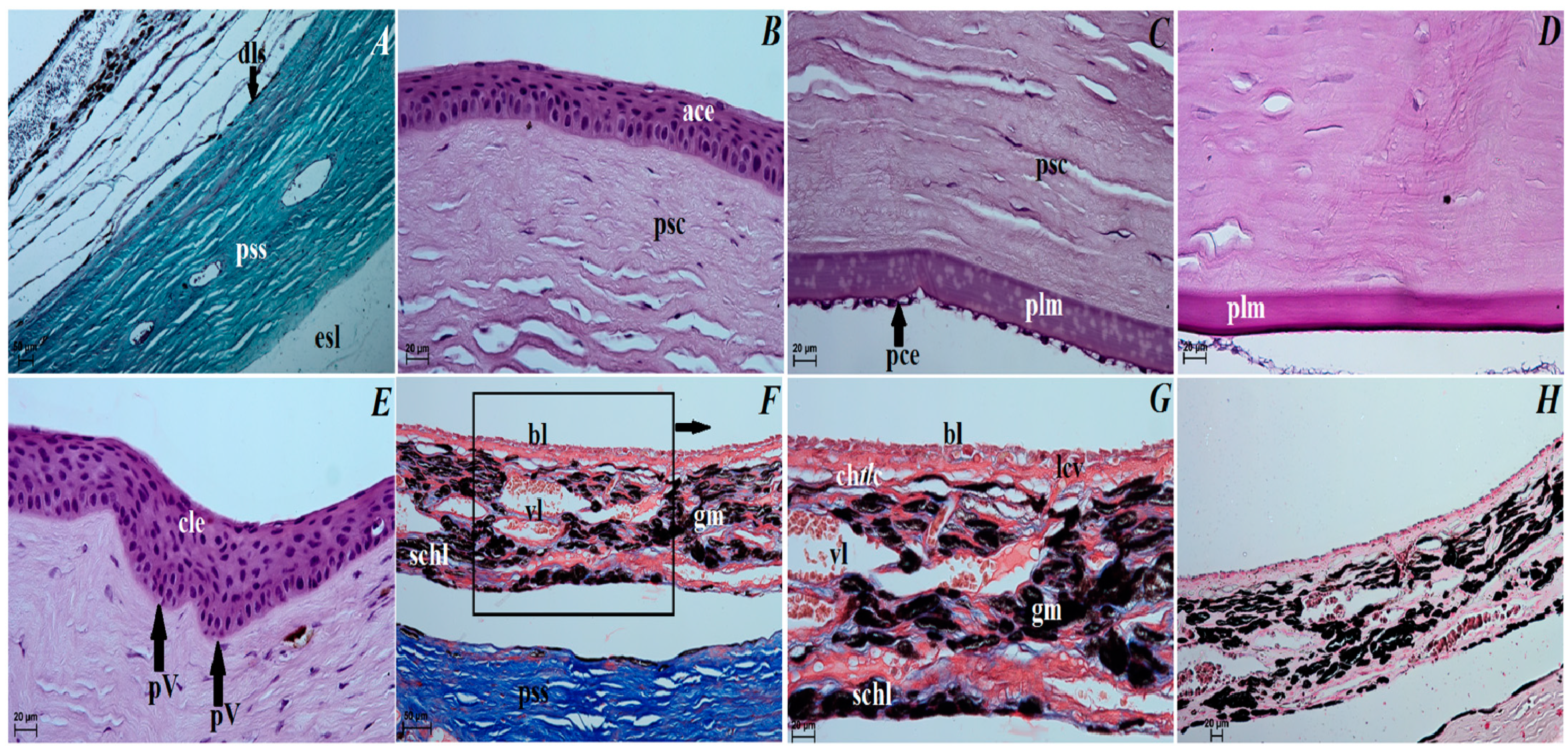 Animals 12 00801 g003