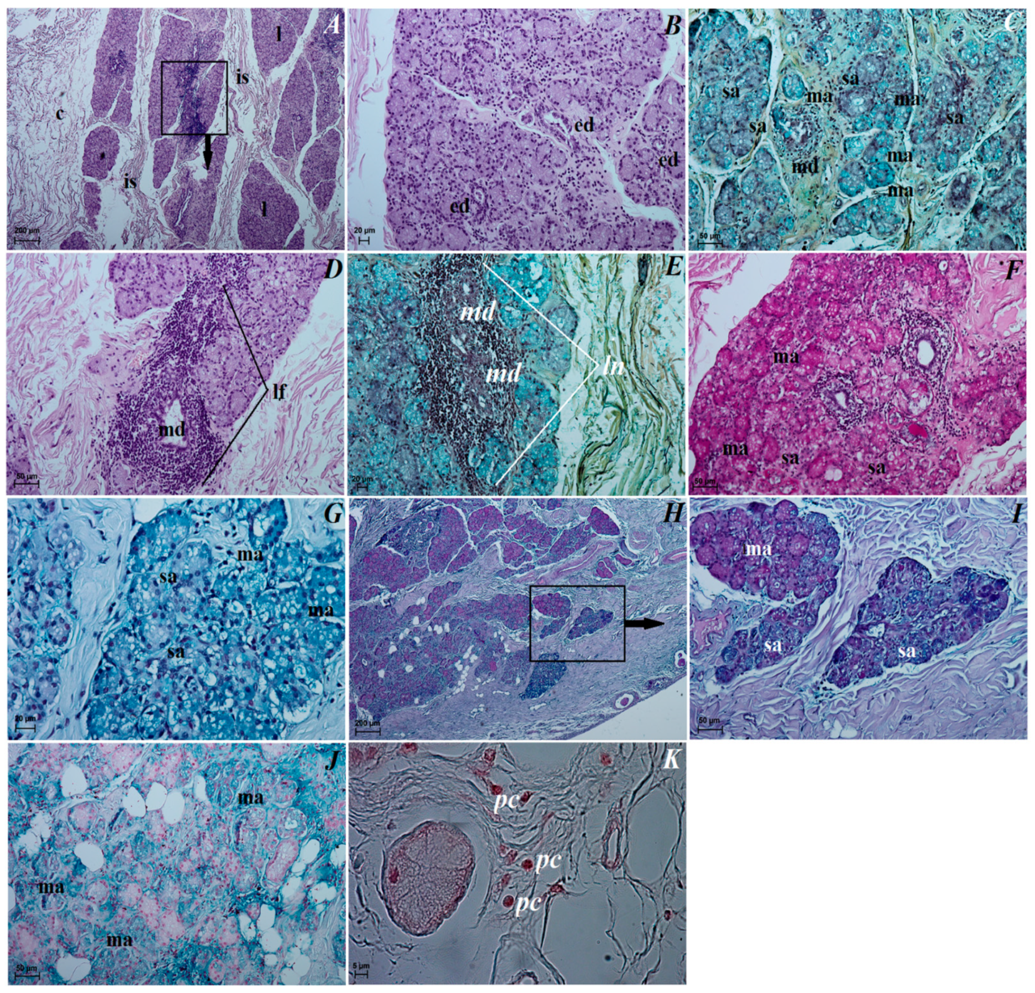 Animals 12 00801 g006