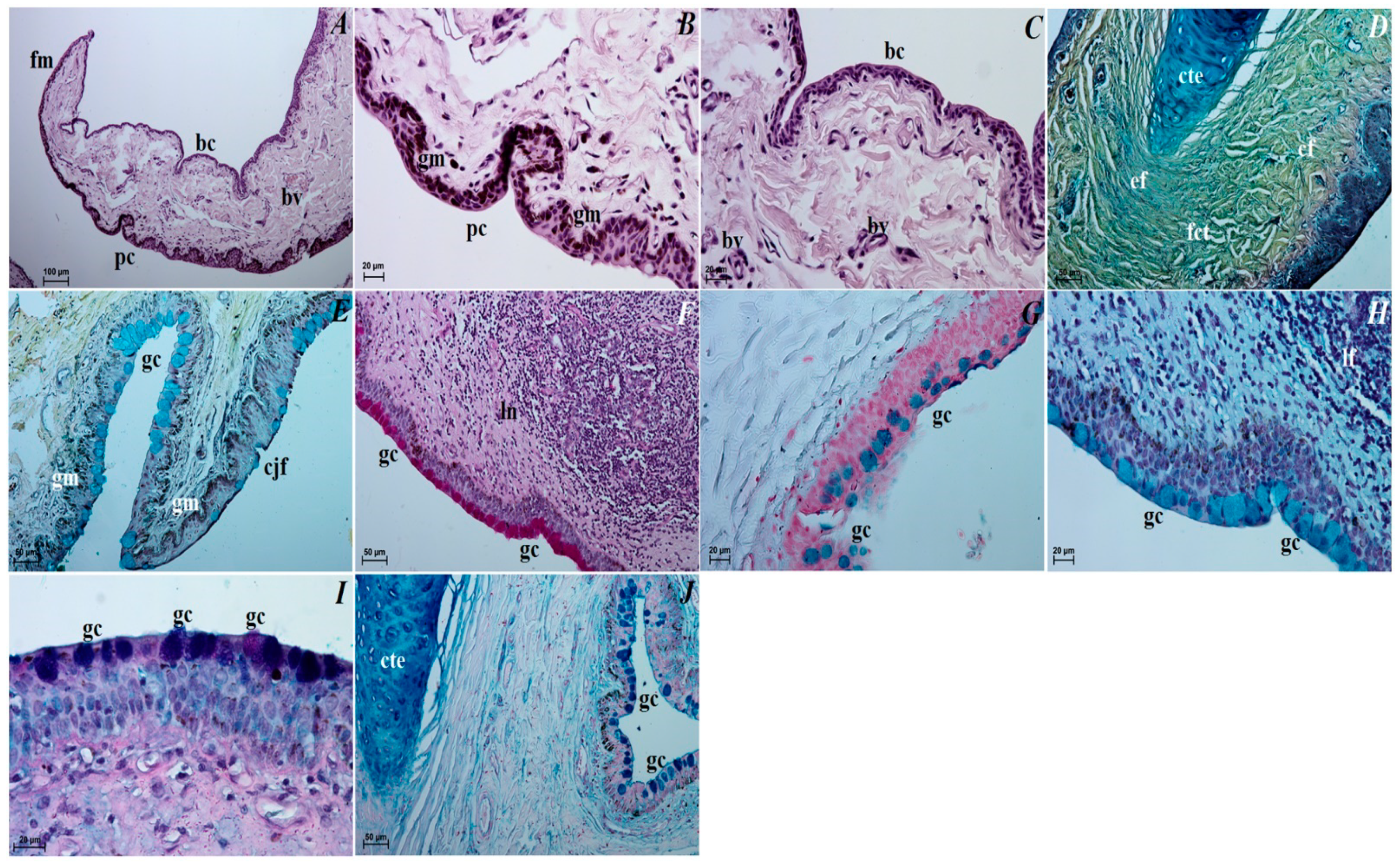 Animals 12 00801 g007