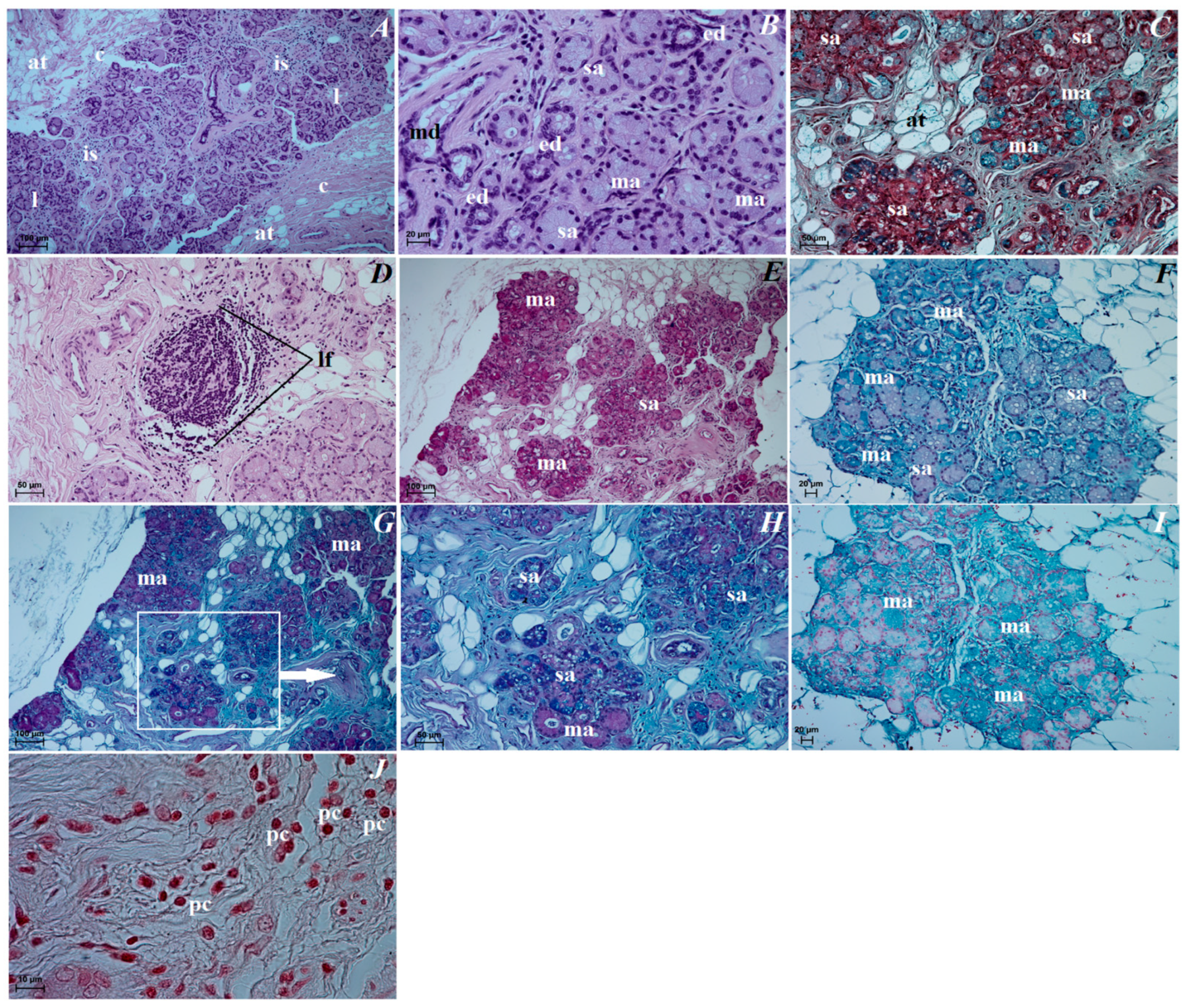 Animals 12 00801 g008