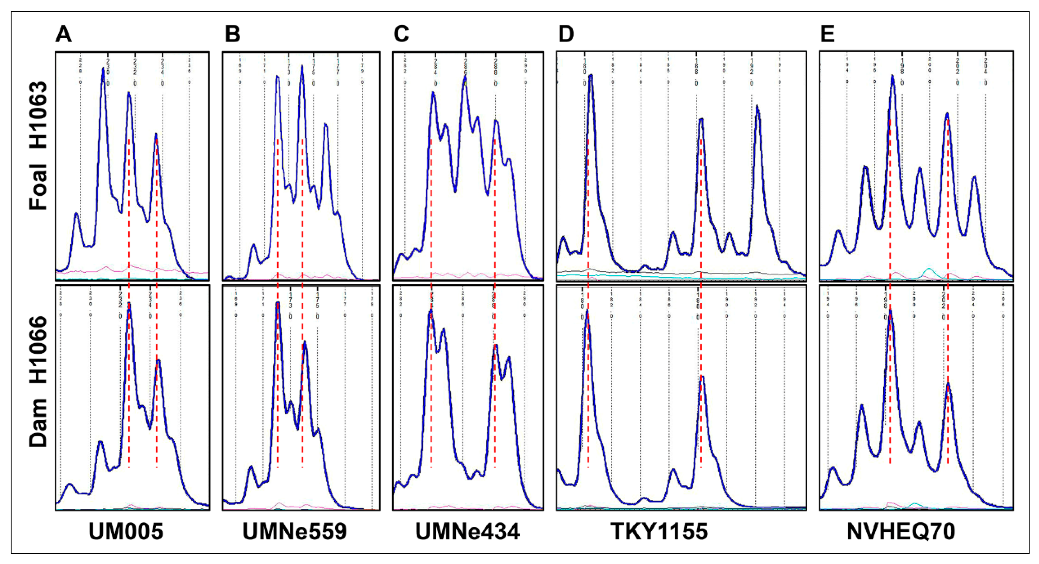 Animals 12 00803 g002