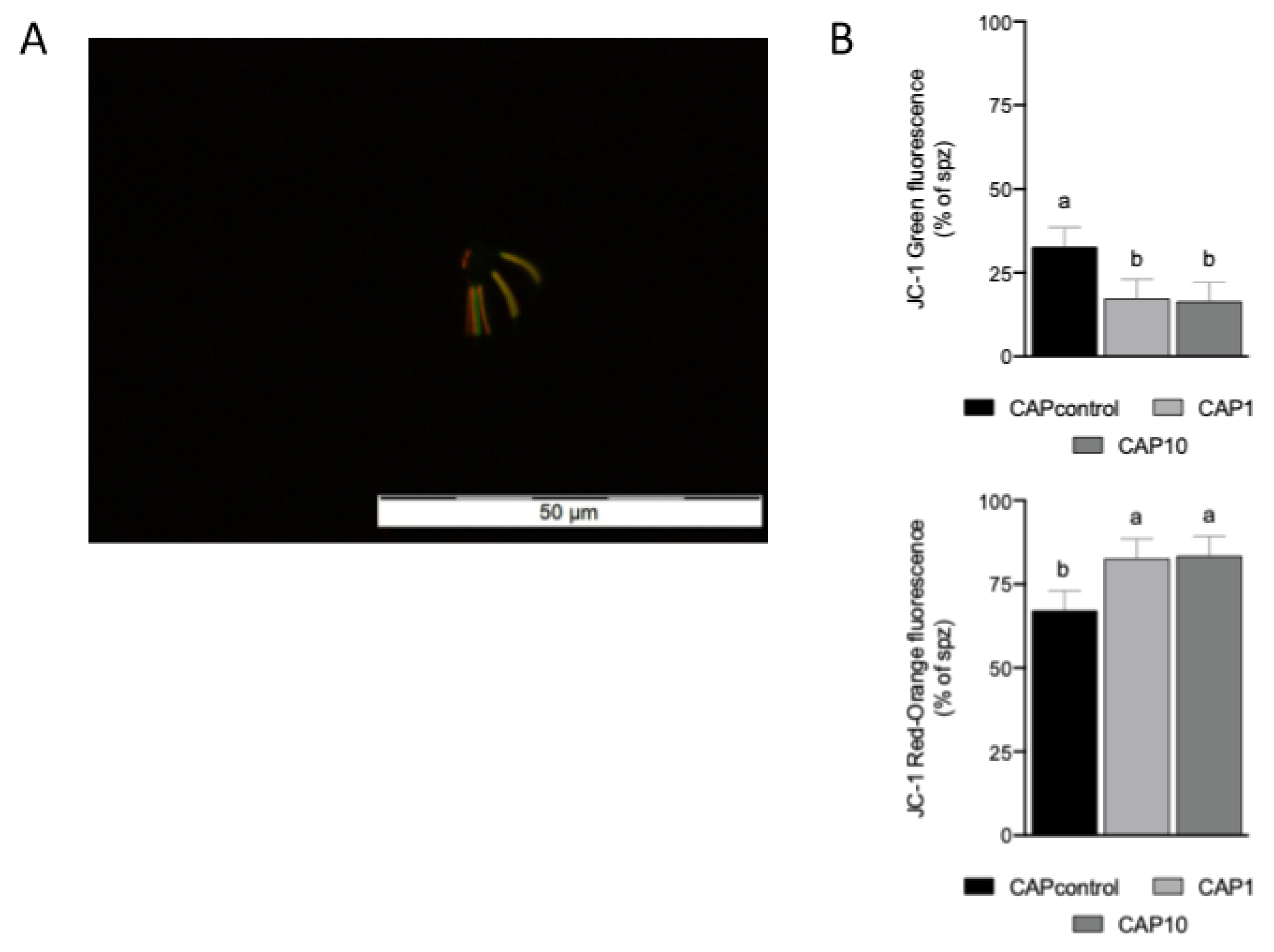 Animals 12 00804 g002 Animals 12 00804 g002