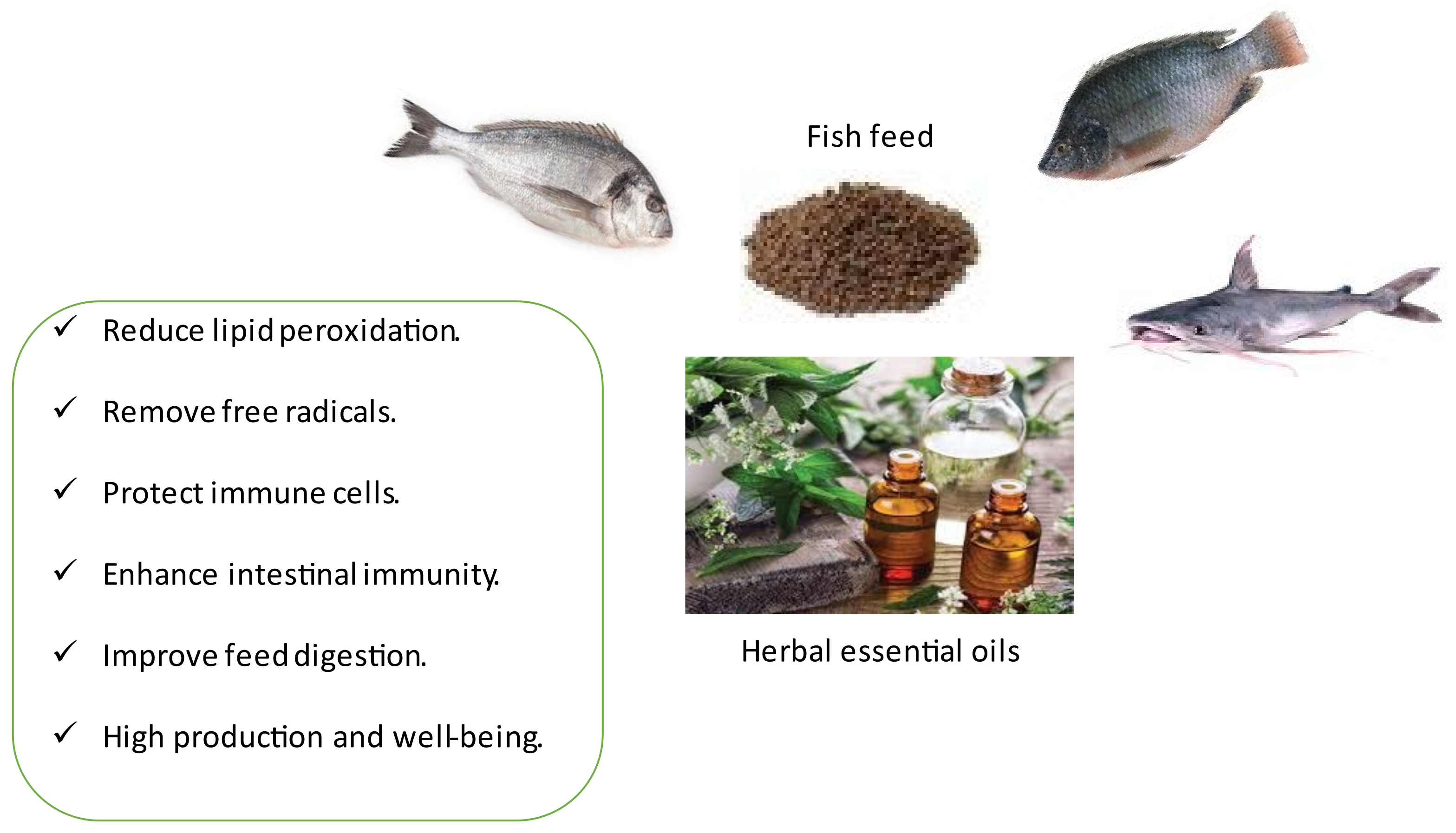 Animals 12 00823 g001 Animals 12 00823 g001