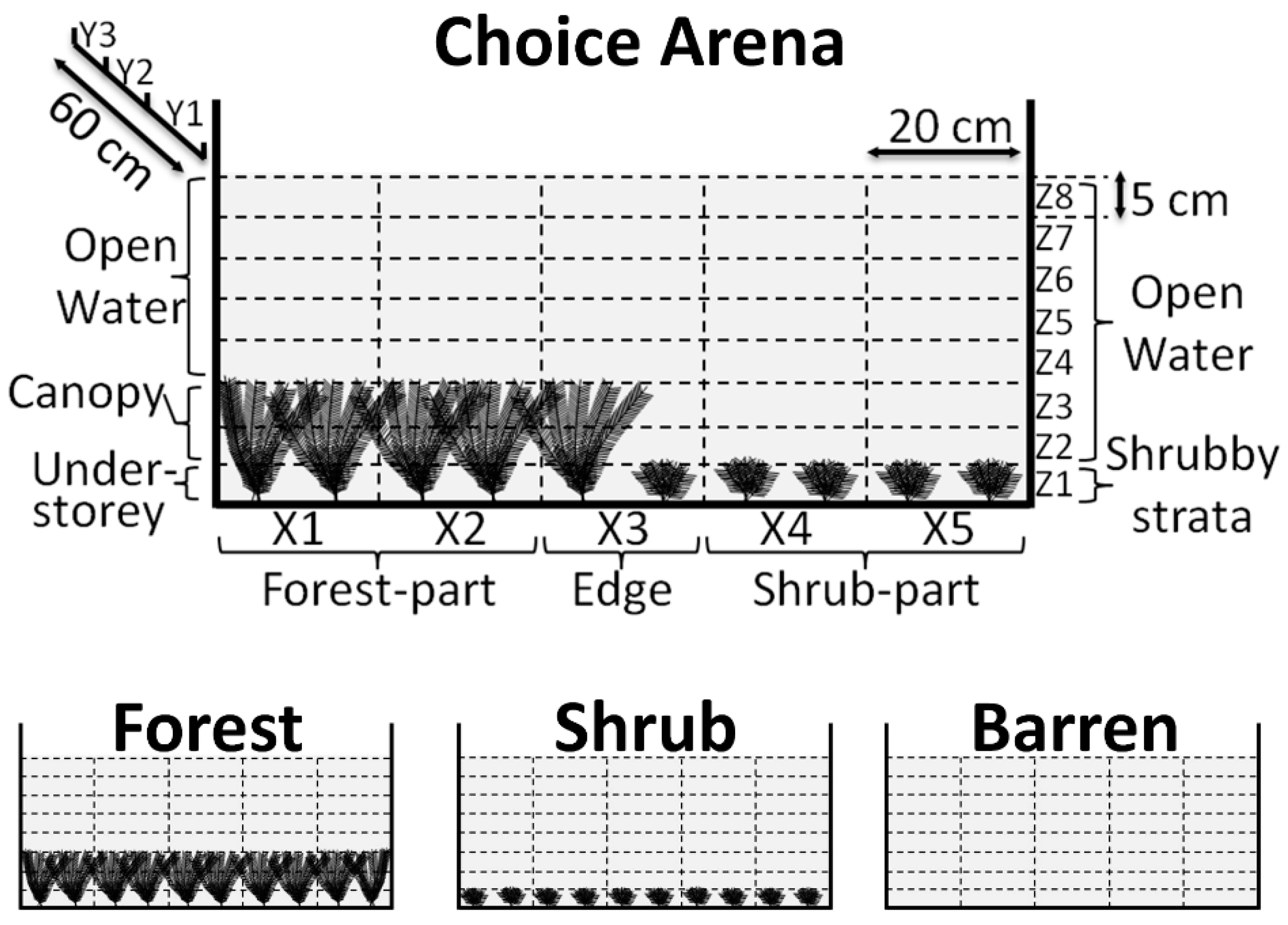 Animals 12 00826 g001 550