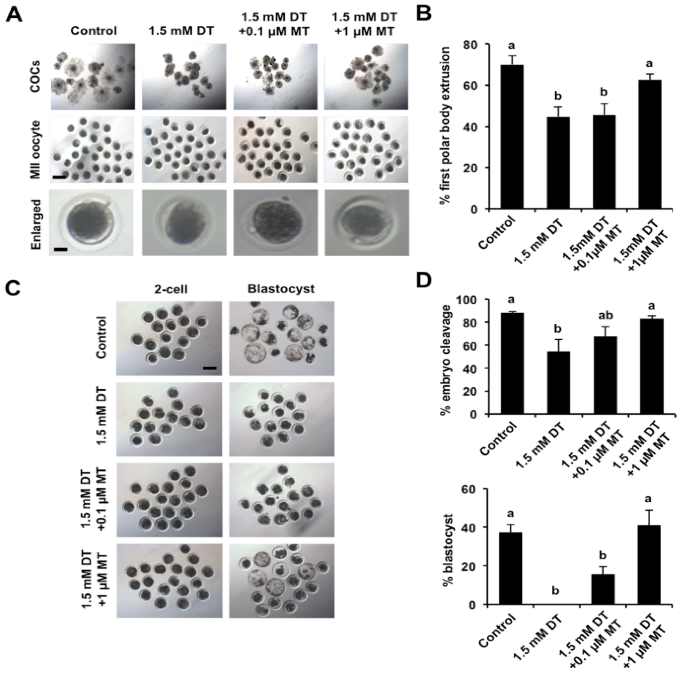 Animals 12 00832 g002