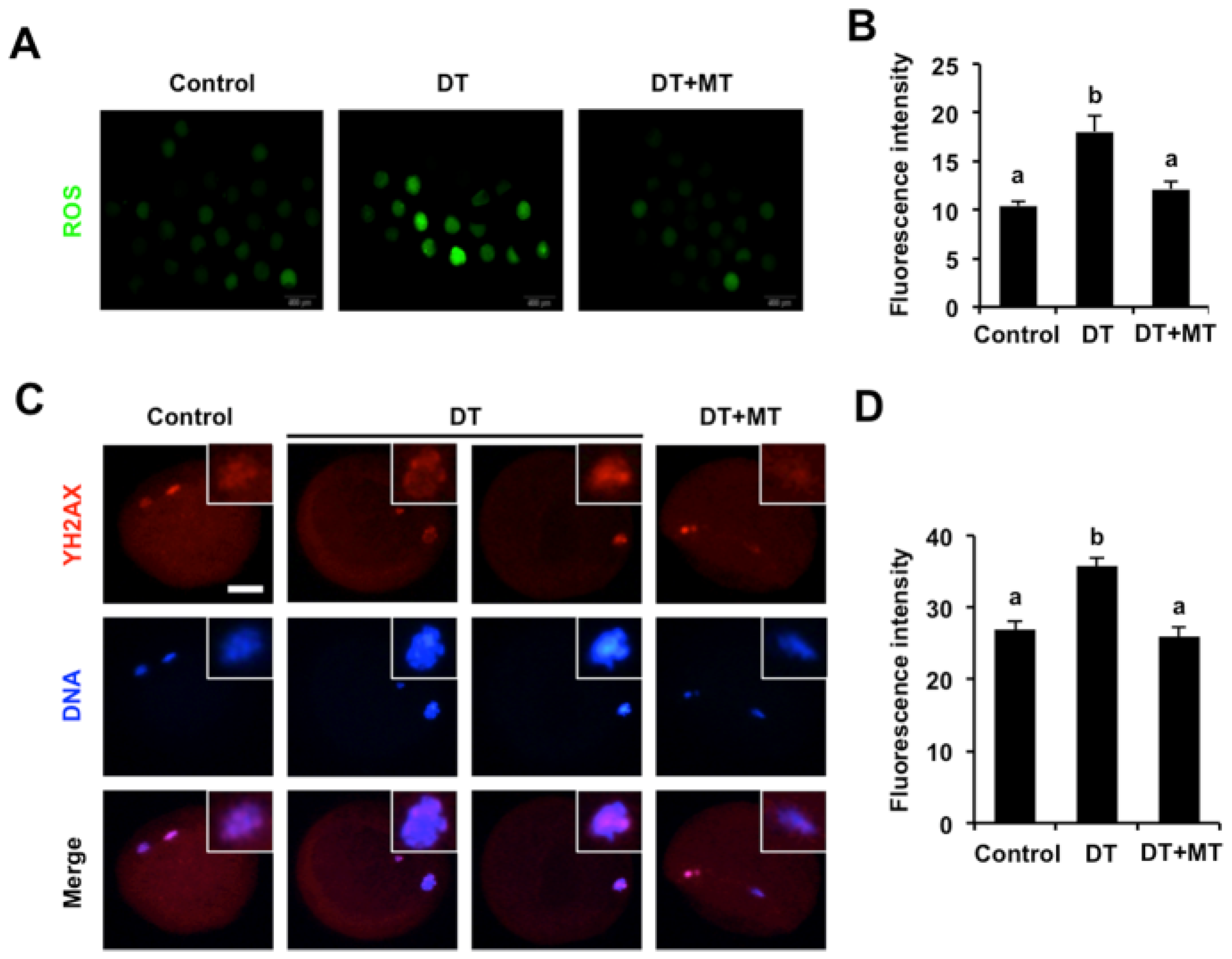 Animals 12 00832 g006