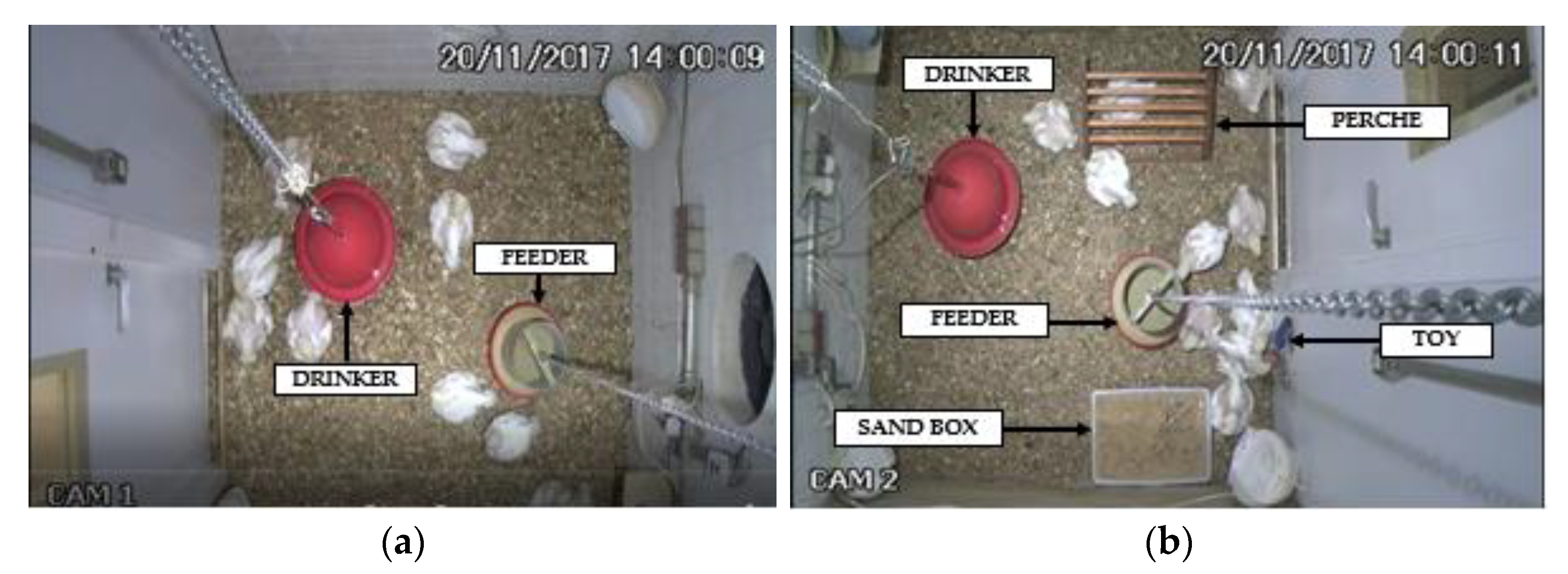 Animals 12 00846 g003