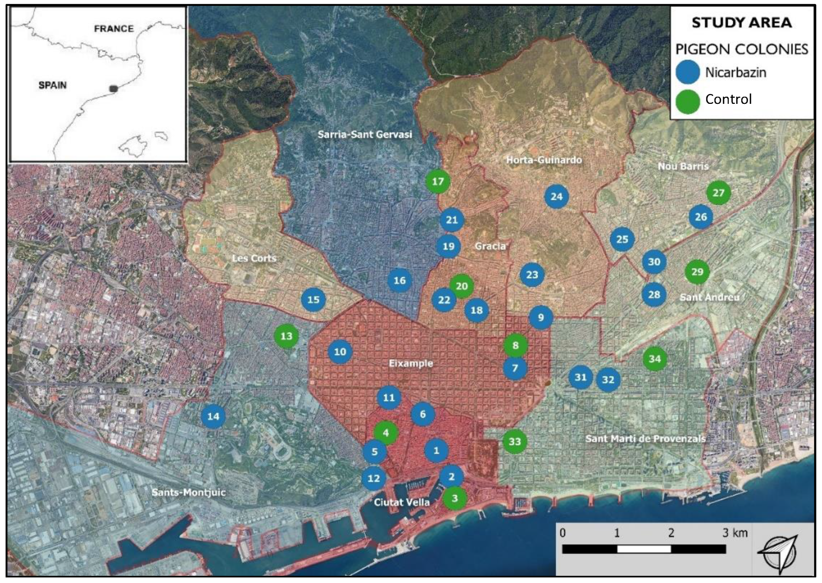 Animals 12 00856 g001