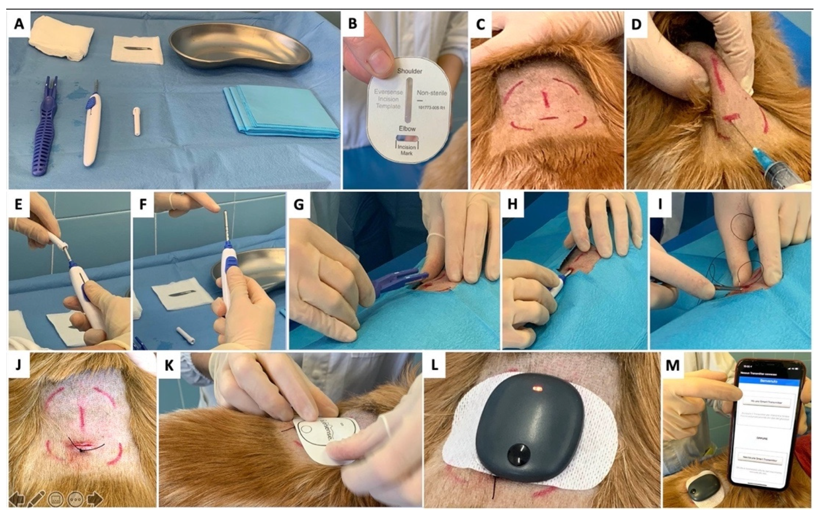 Animals | Free Full-Text | Clinical Use of a 180-Day Implantable Glucose  Monitoring System in Dogs with Diabetes Mellitus: A Case Series
