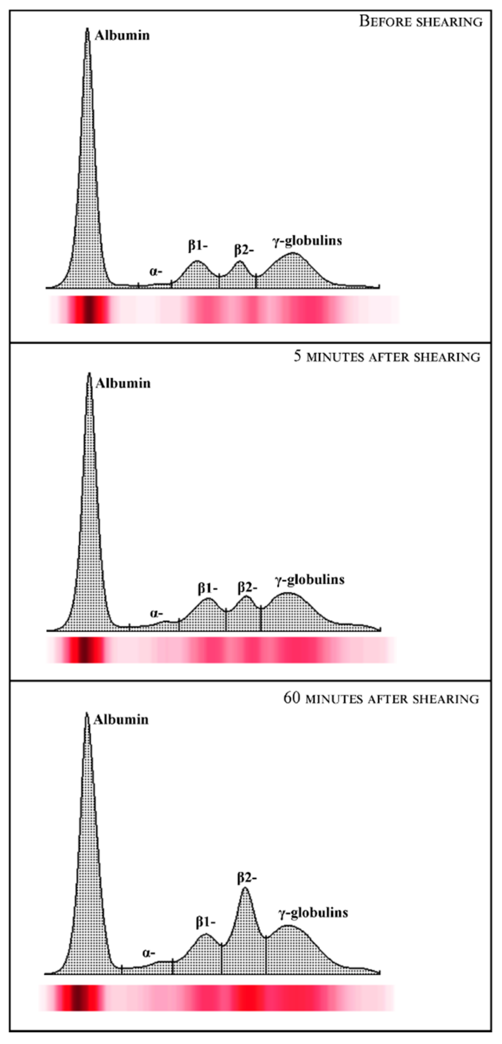 Animals 12 00862 g001