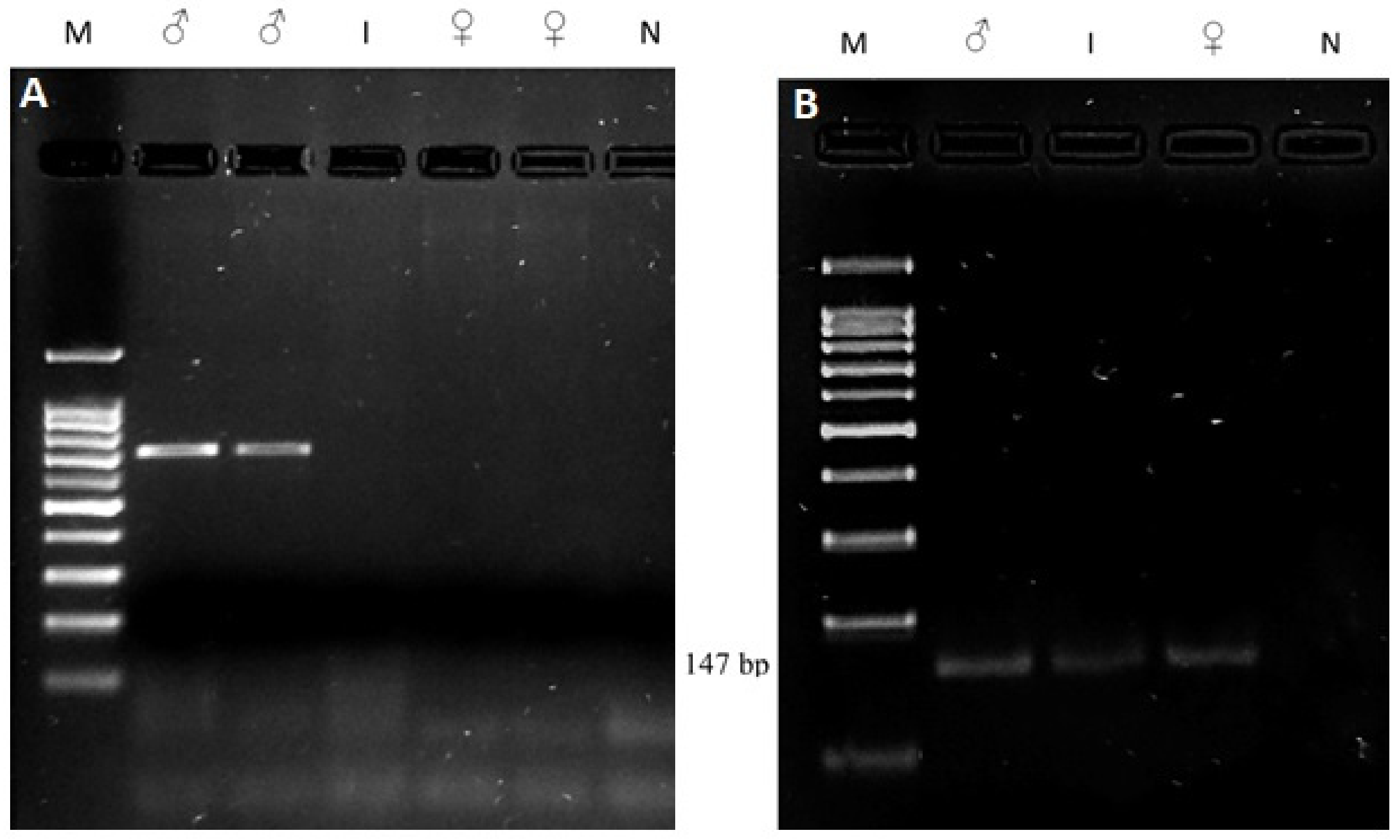 Animals 12 00865 g003
