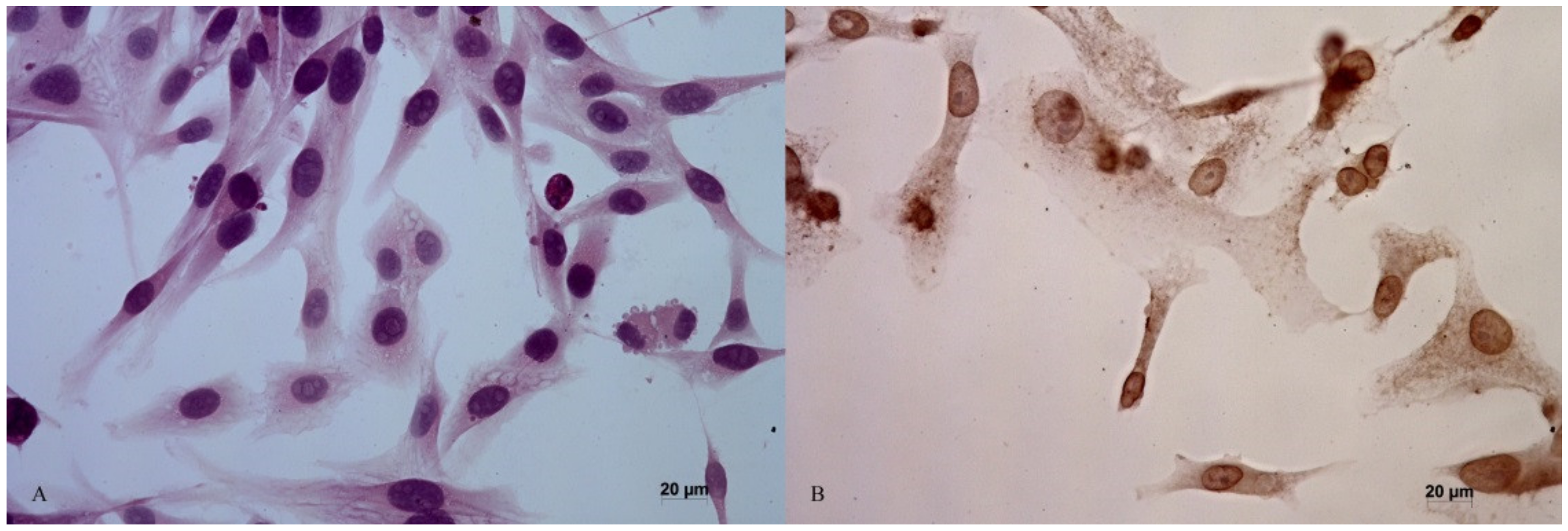 Animals 12 00866 g001 Animals 12 00866 g001