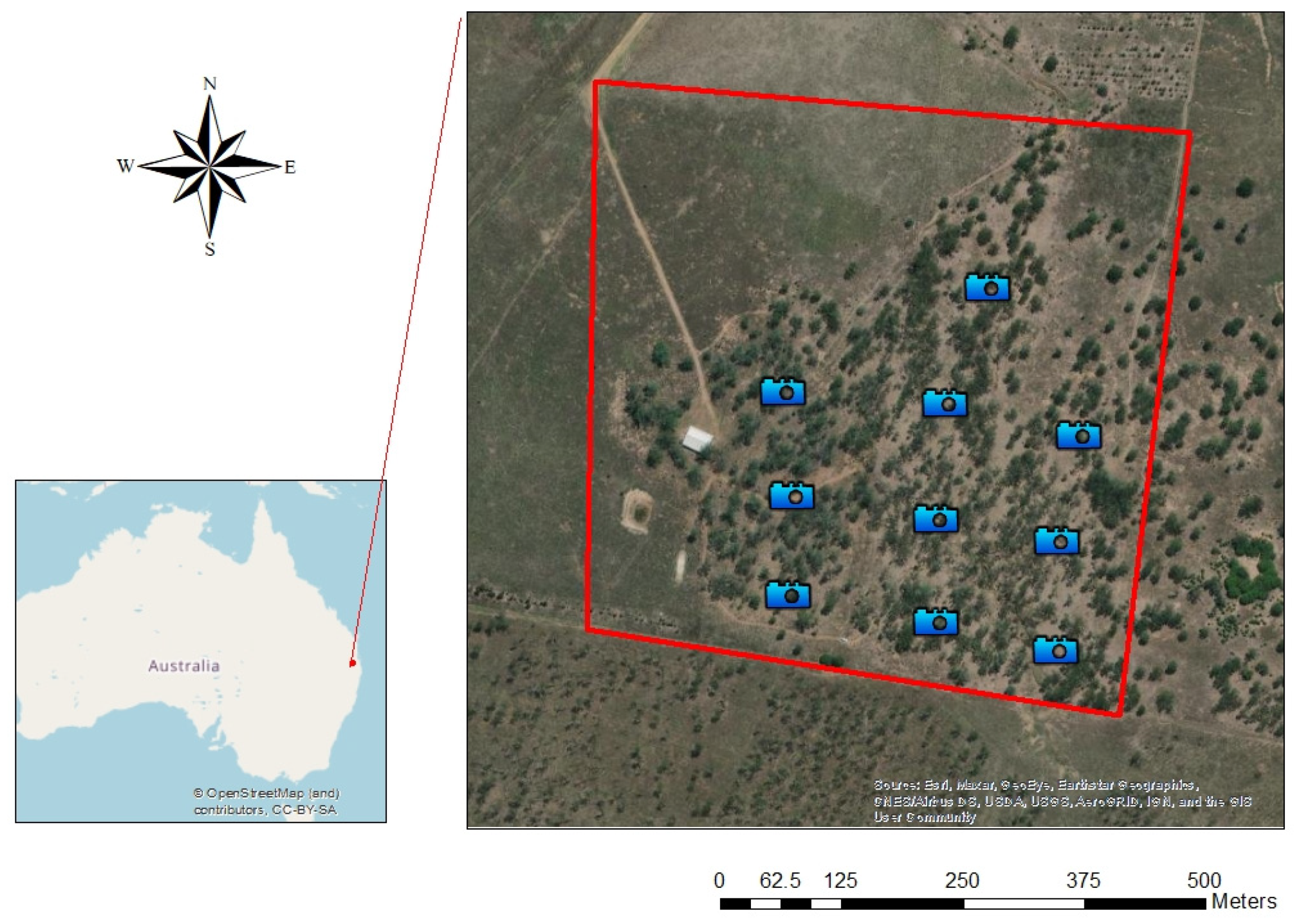 Animals 12 00872 g001 550