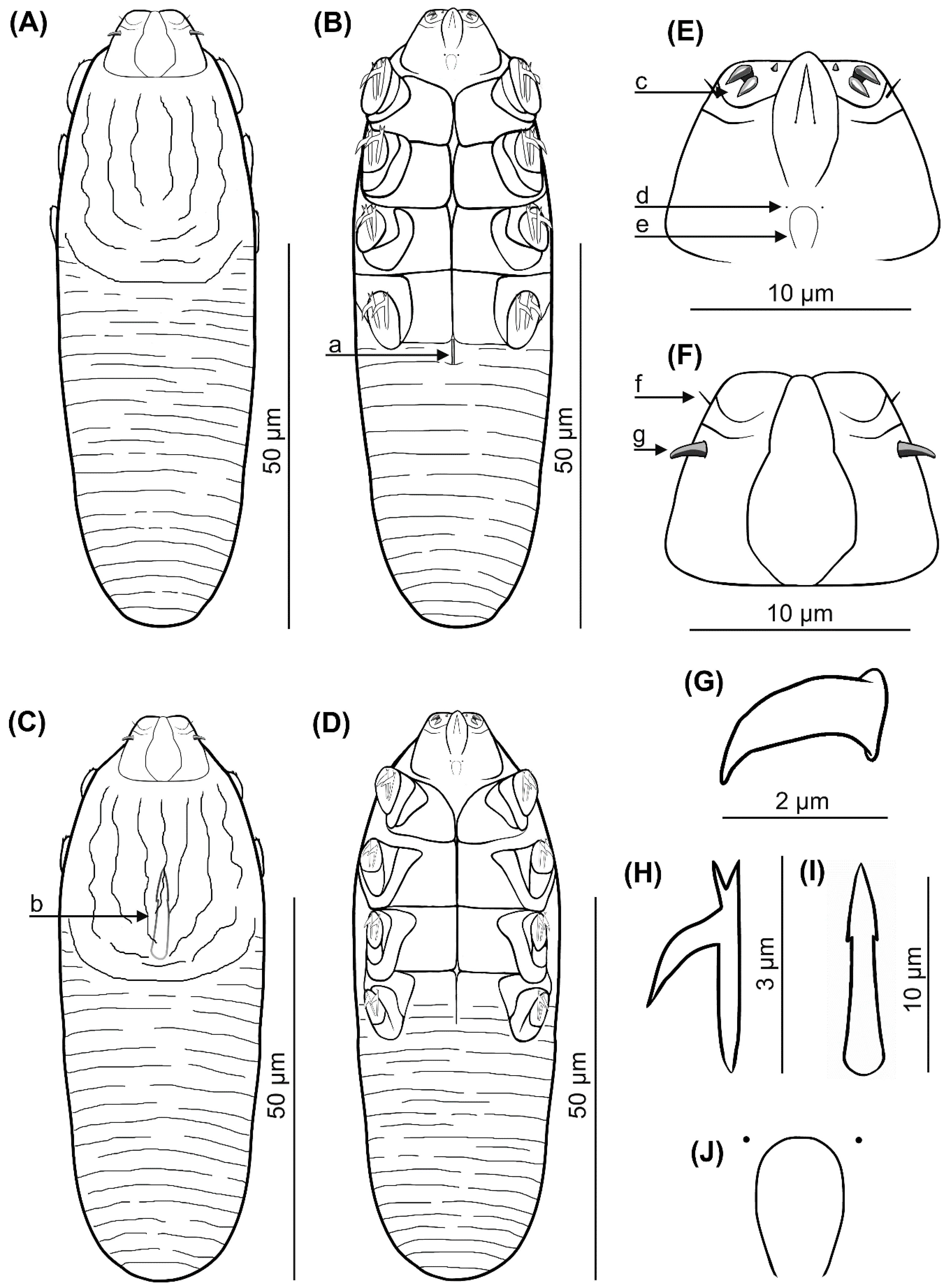 Animals 12 00875 g001